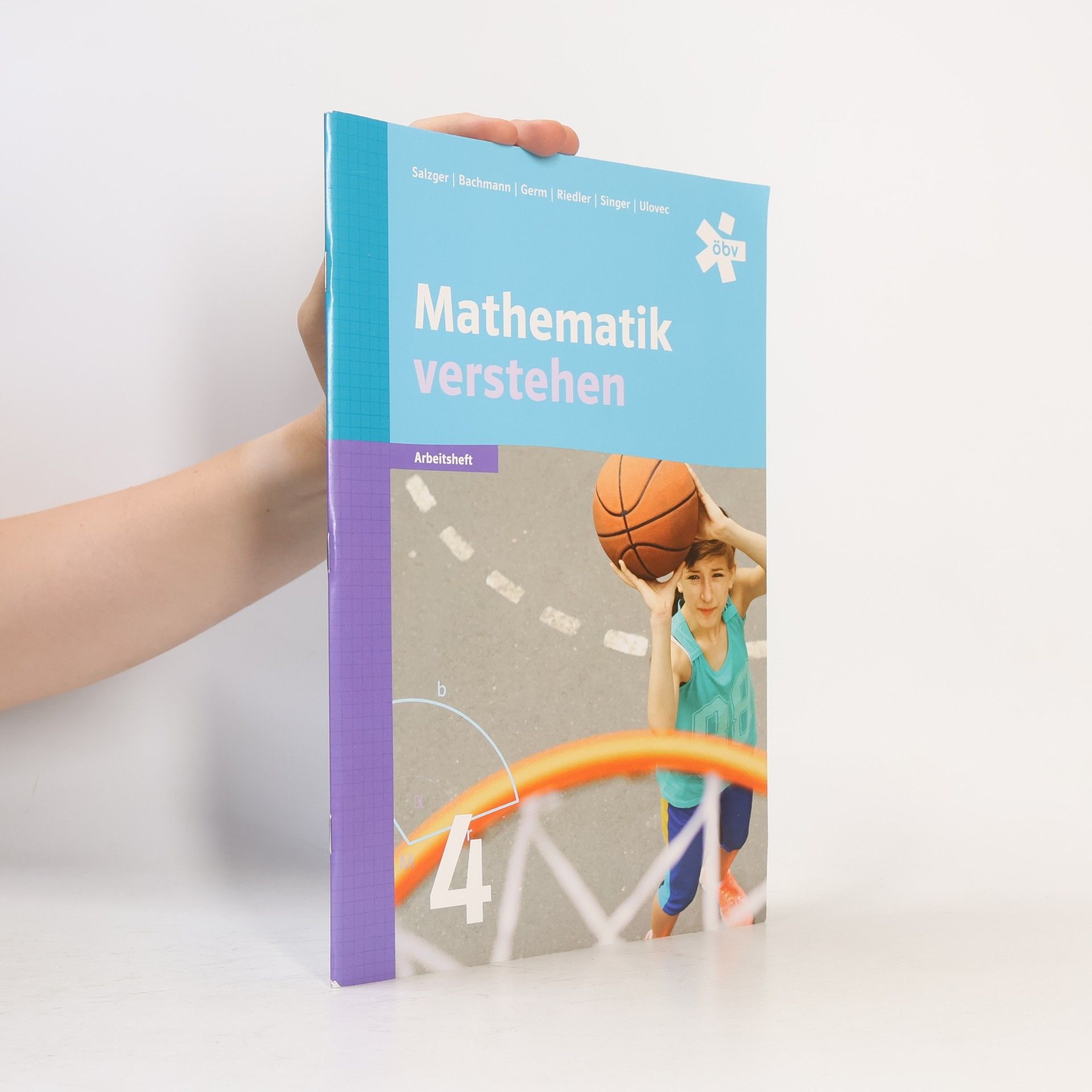 Mathematik verstehen Arbeitsheft