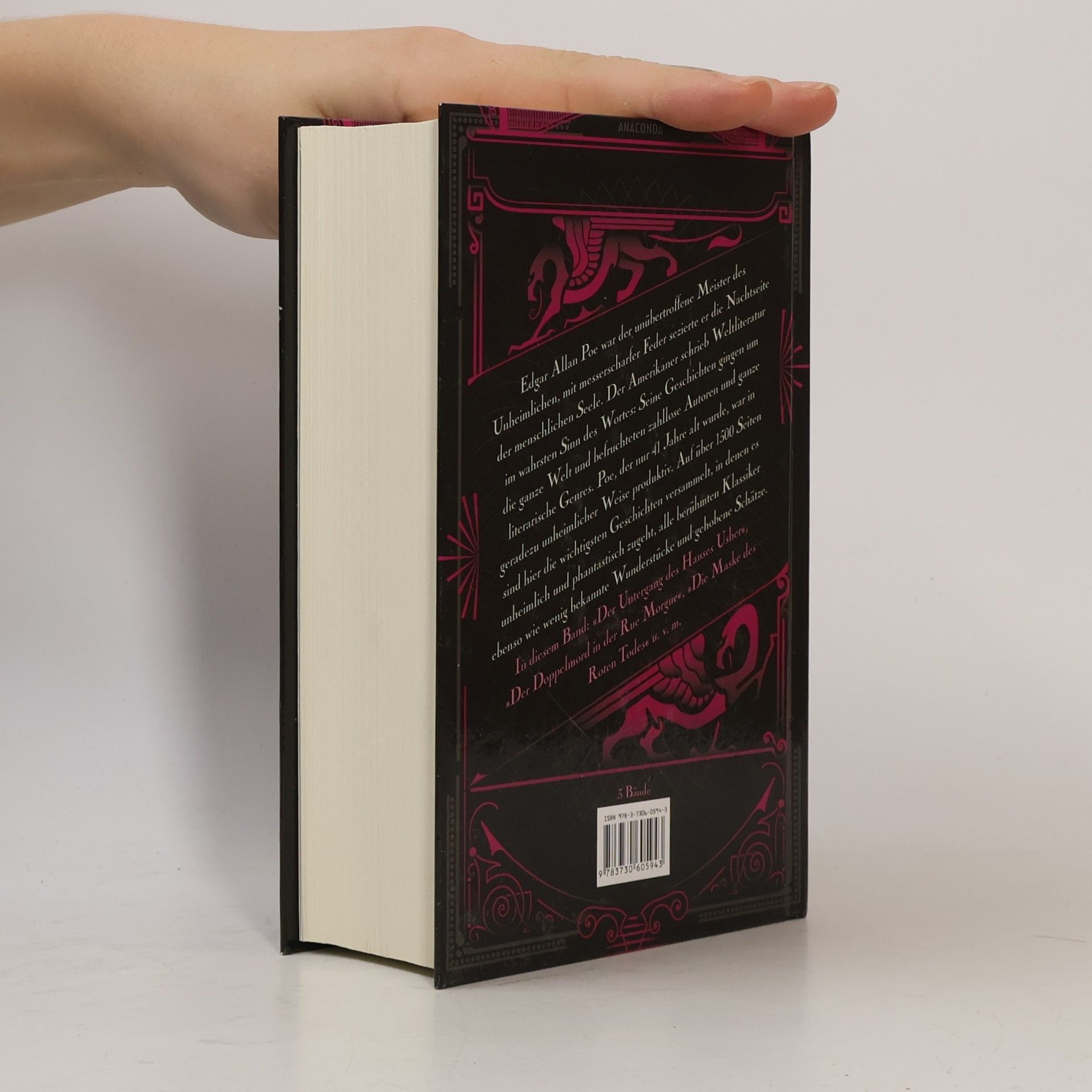 Edgar Allan Poe Unheimliche und phantastische Geschichten 2