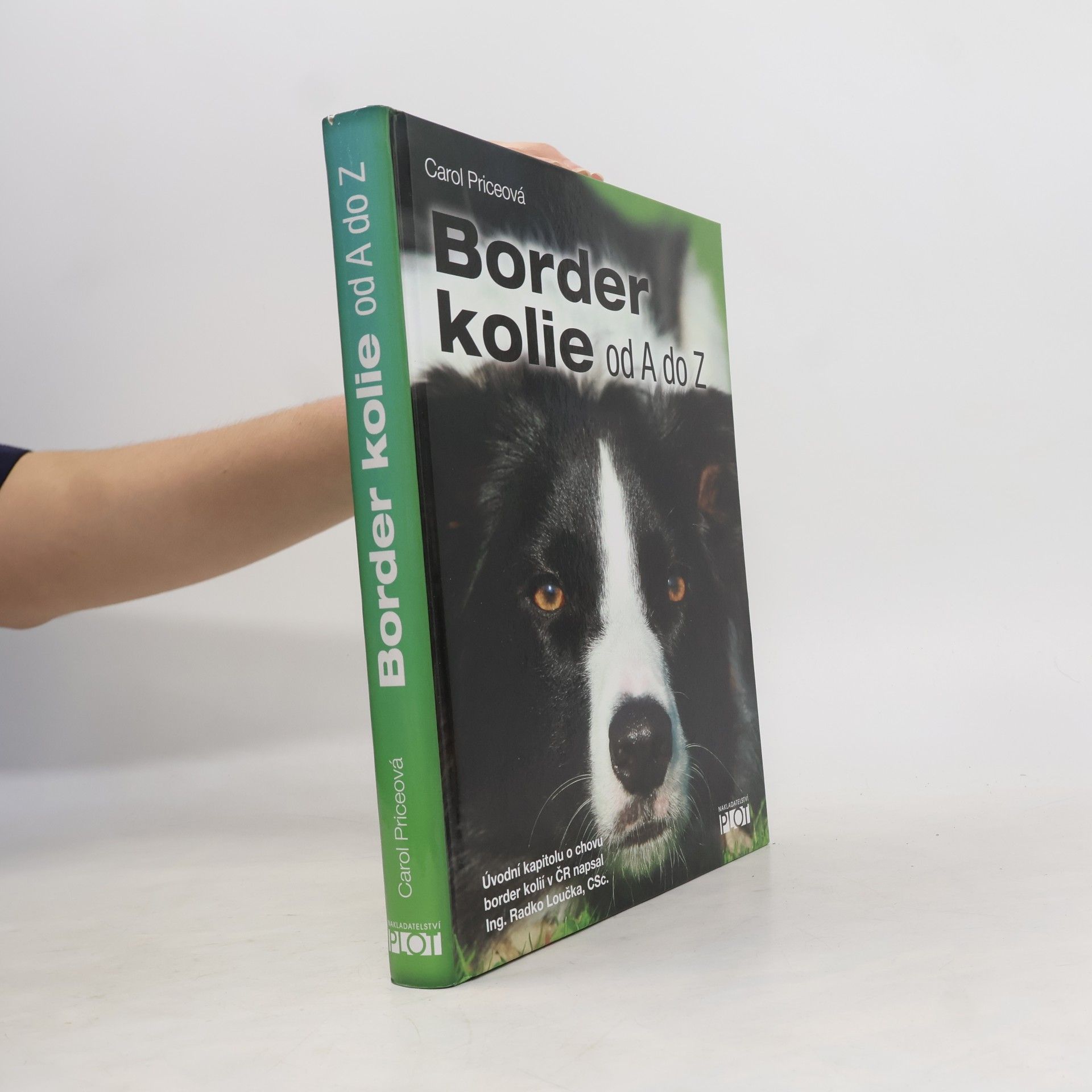 Carol Price Border kolie od A do Z