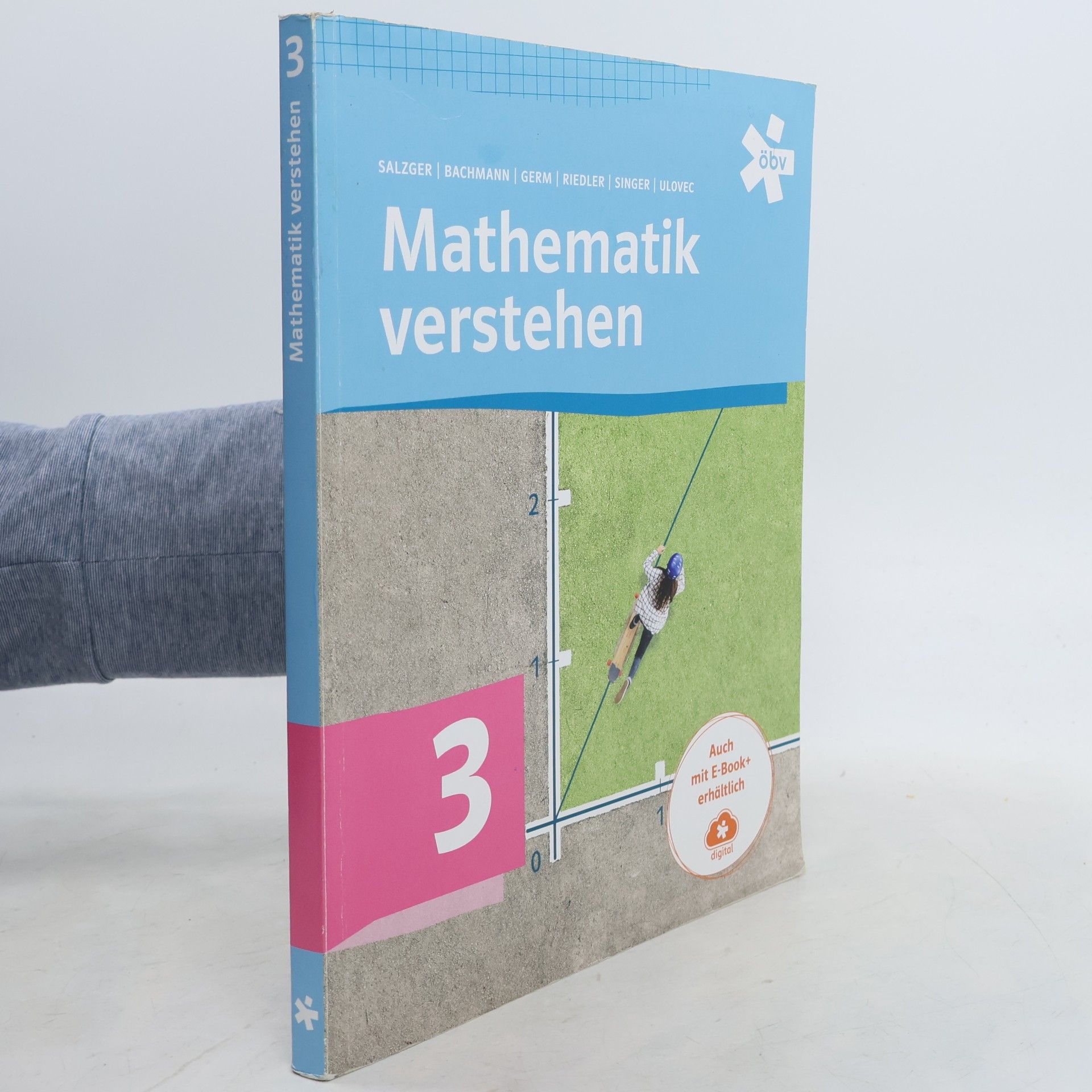 Bernhard Salzger Mathematik verstehen 3