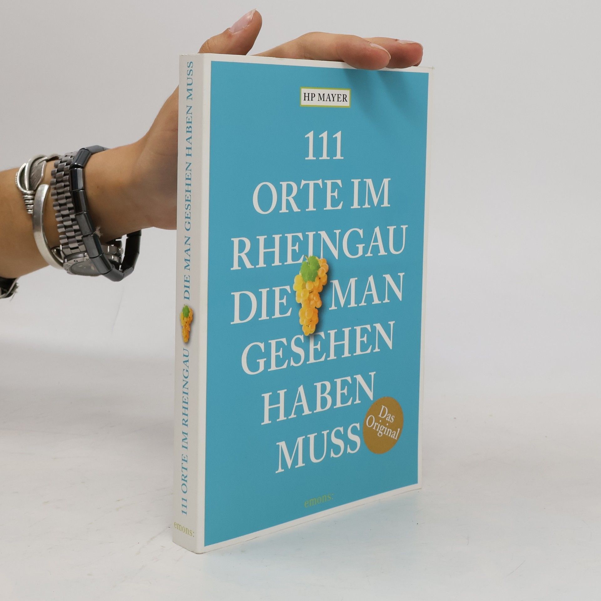 Hans Peter Mayer 111 Orte im Rheingau, die man gesehen haben muss