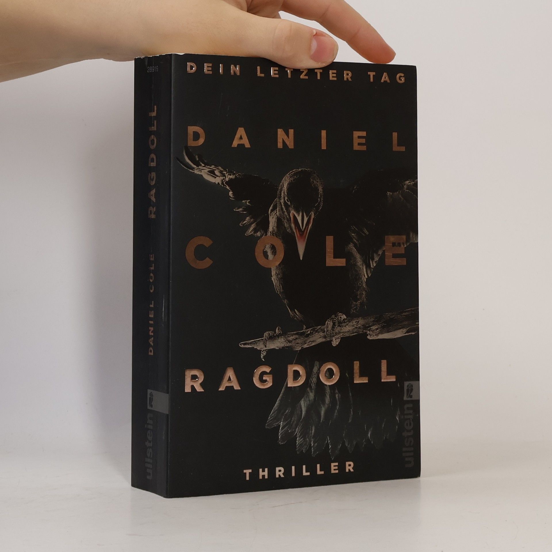 Ragdoll