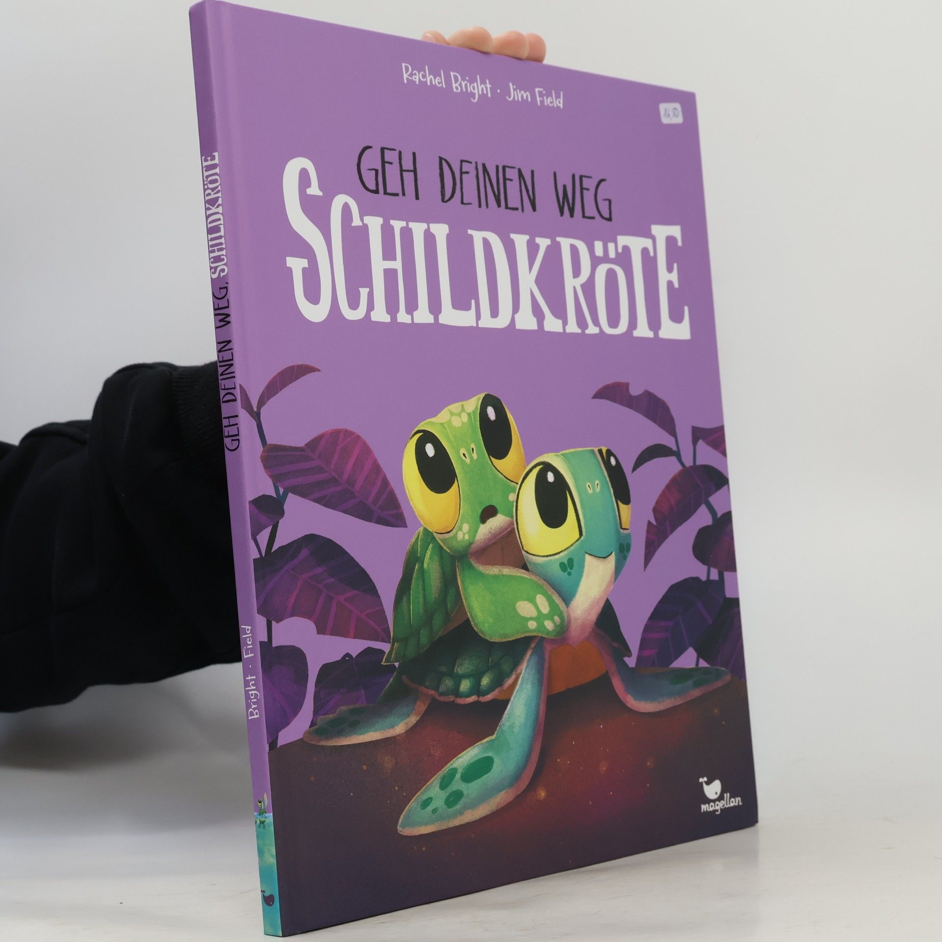 Rachel Bright Geh deinen Weg, Schildkröte