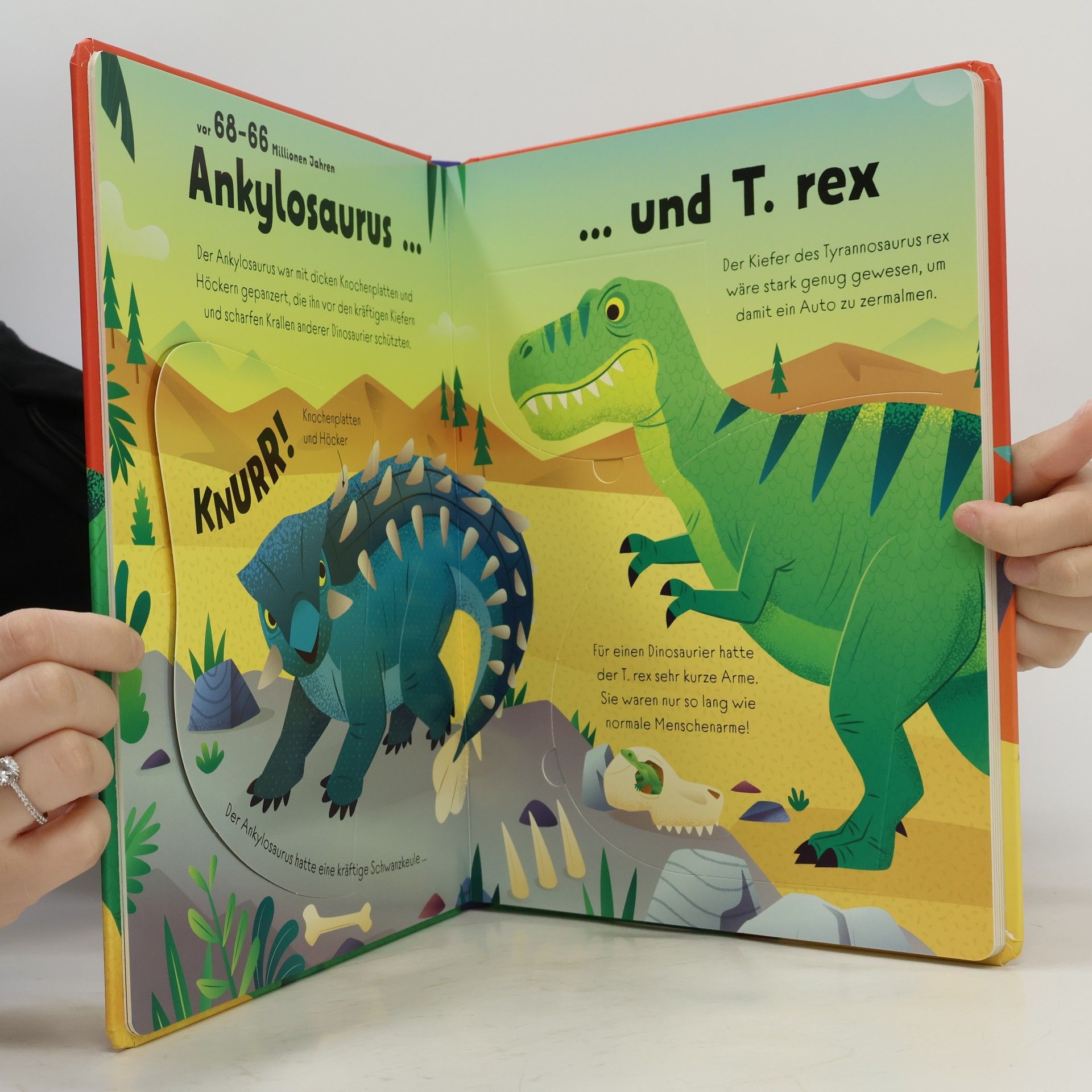 Alice Beecham Mein erstes Wissen zum Aufklappen: Groß, größer, Dinosaurier!