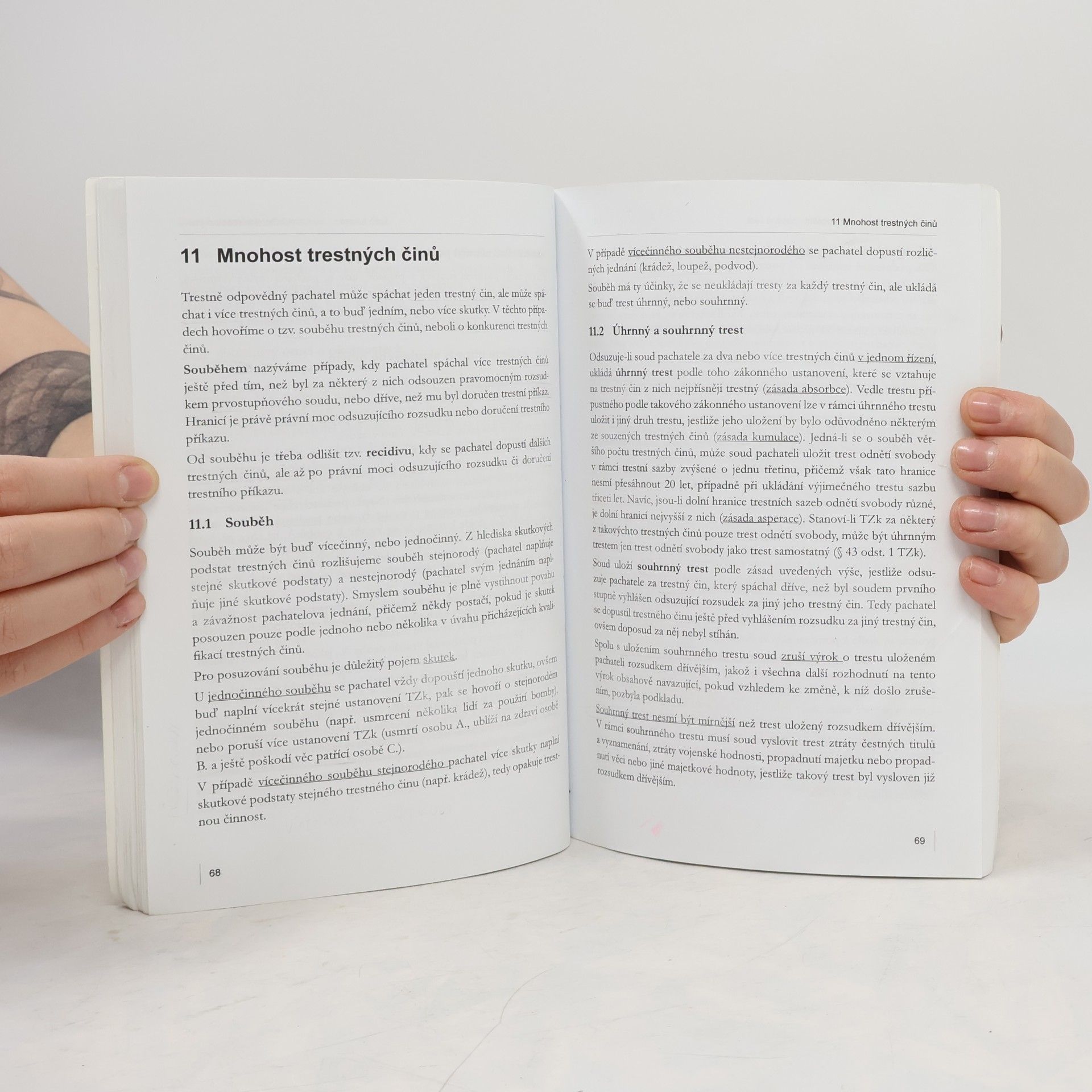 Eva Brucknerová Trestní právo hmotné a procesní - obecná část : multimediální učební text