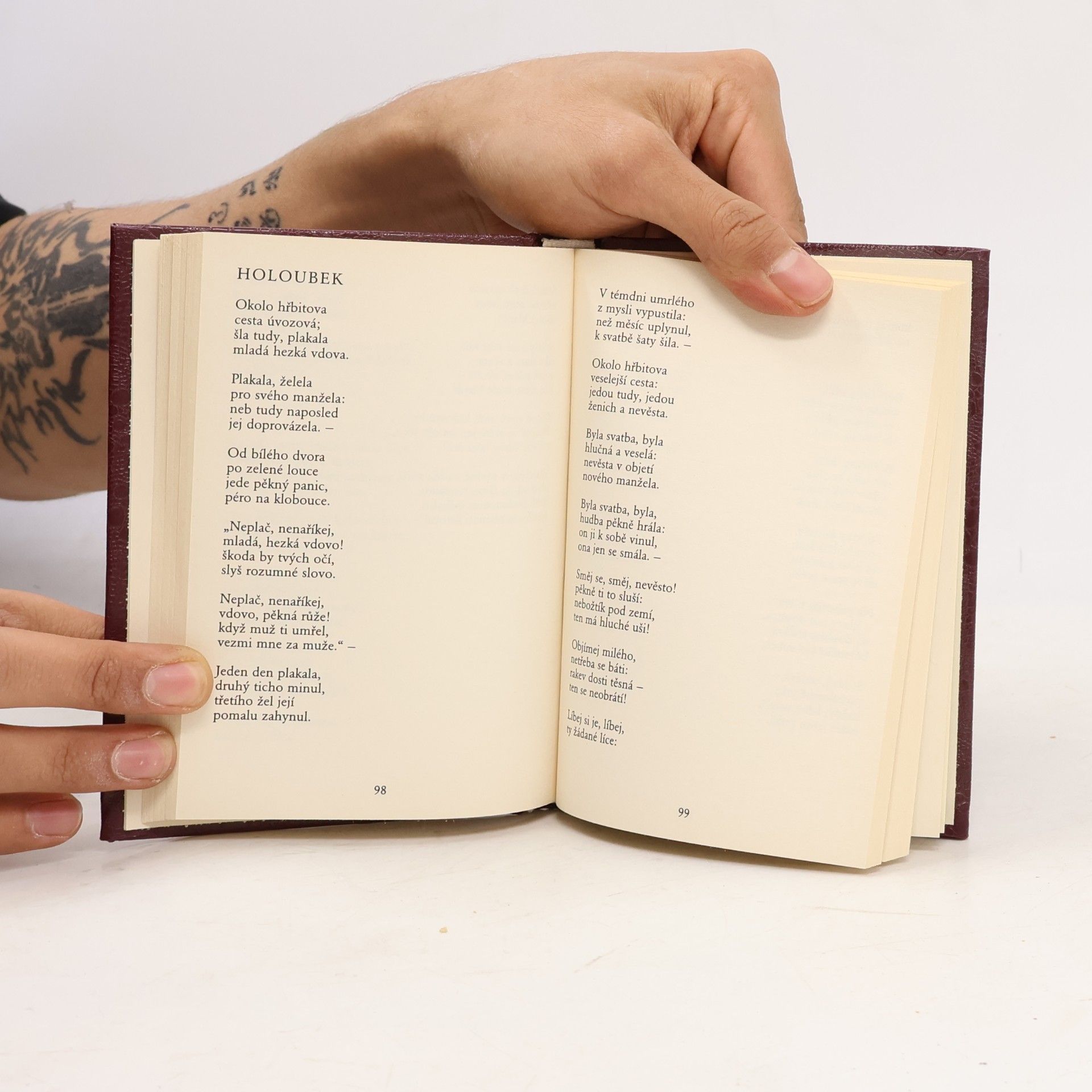 Karel Hynek Mácha To nejlepší z české poezie 19. století: Máj, Kytice