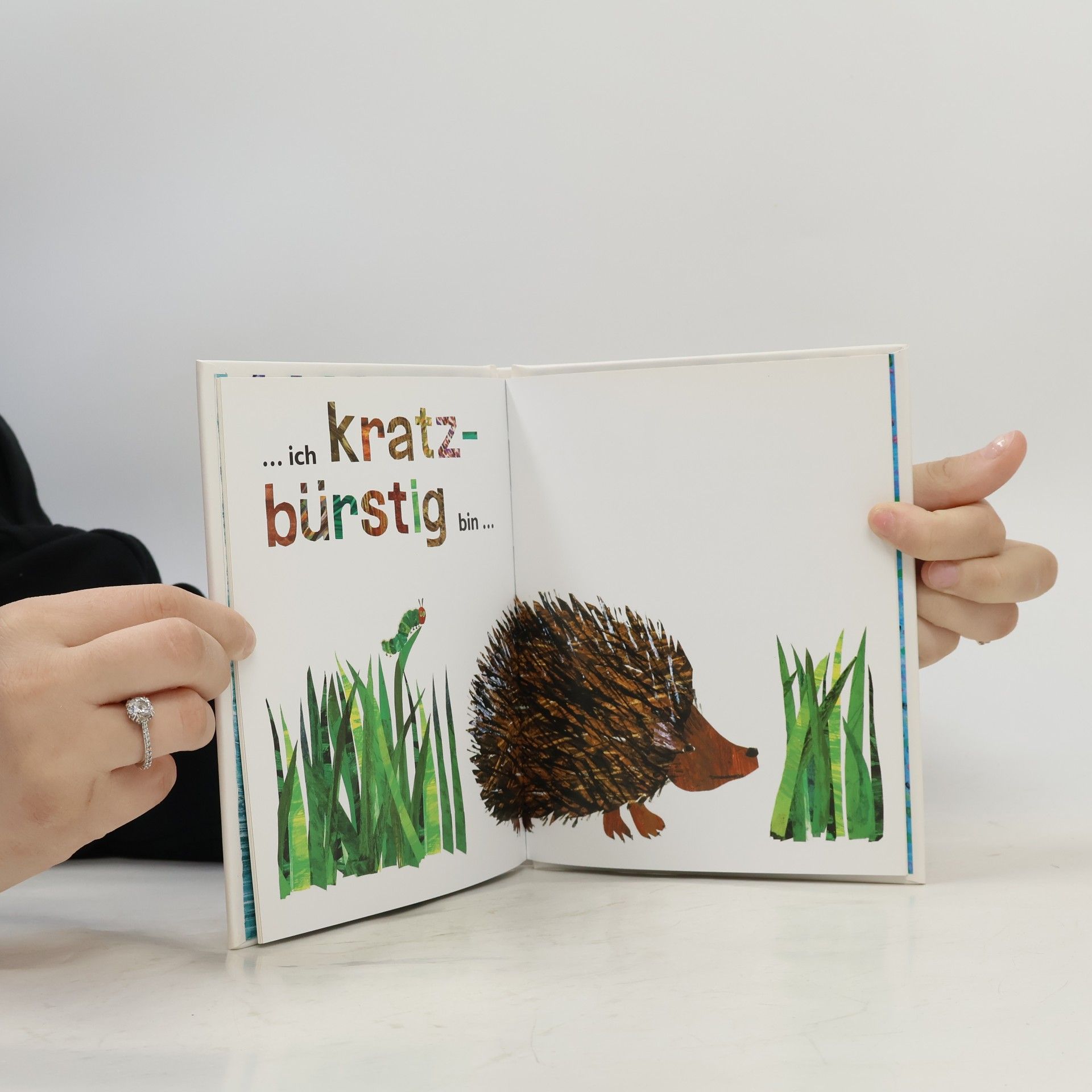 Eric Carle I ♥ Papa