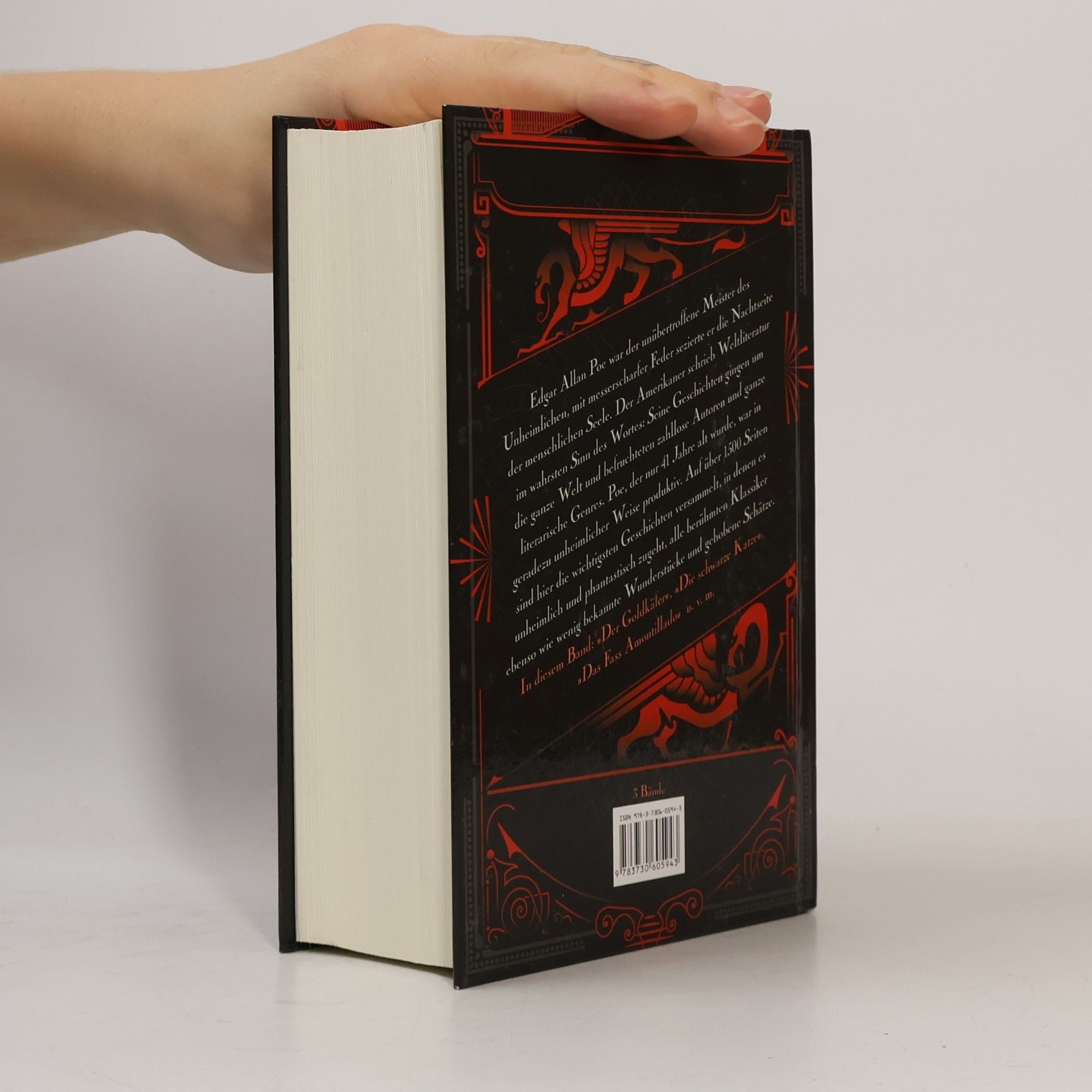 Edgar Allan Poe Unheimliche und phantastische Geschichten 3