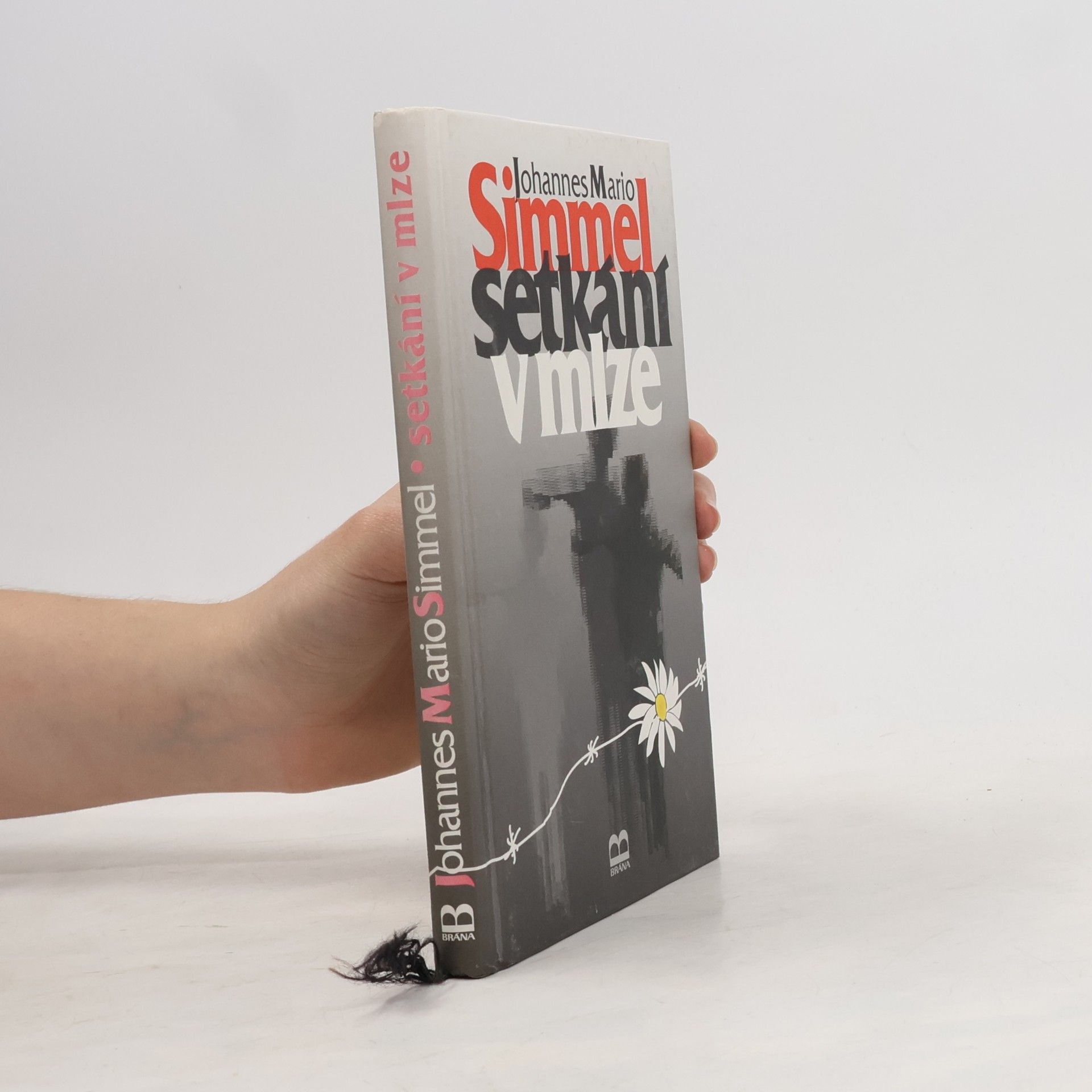 Johannes Mario Simmel Setkání v mlze
