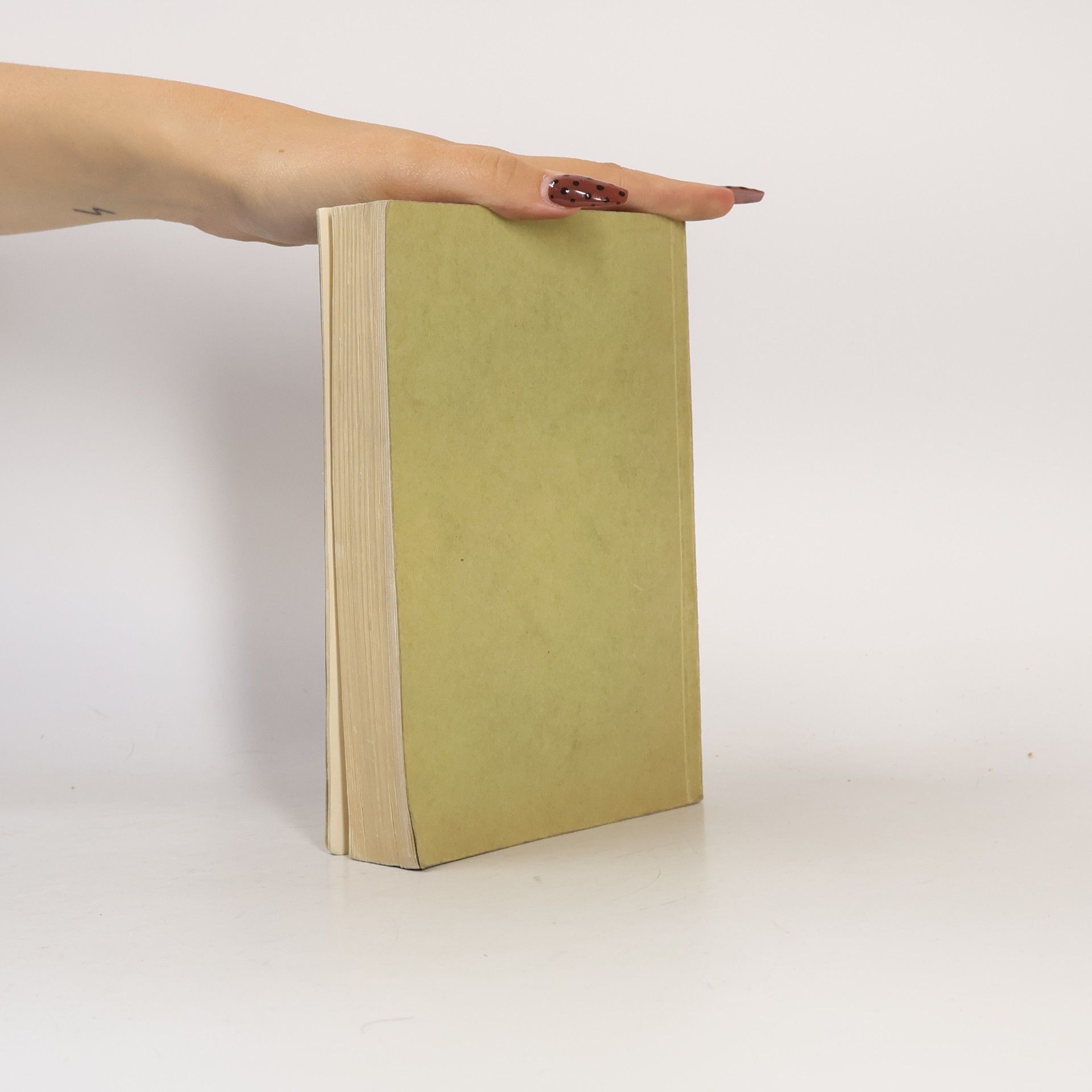 kolektiv Katalog