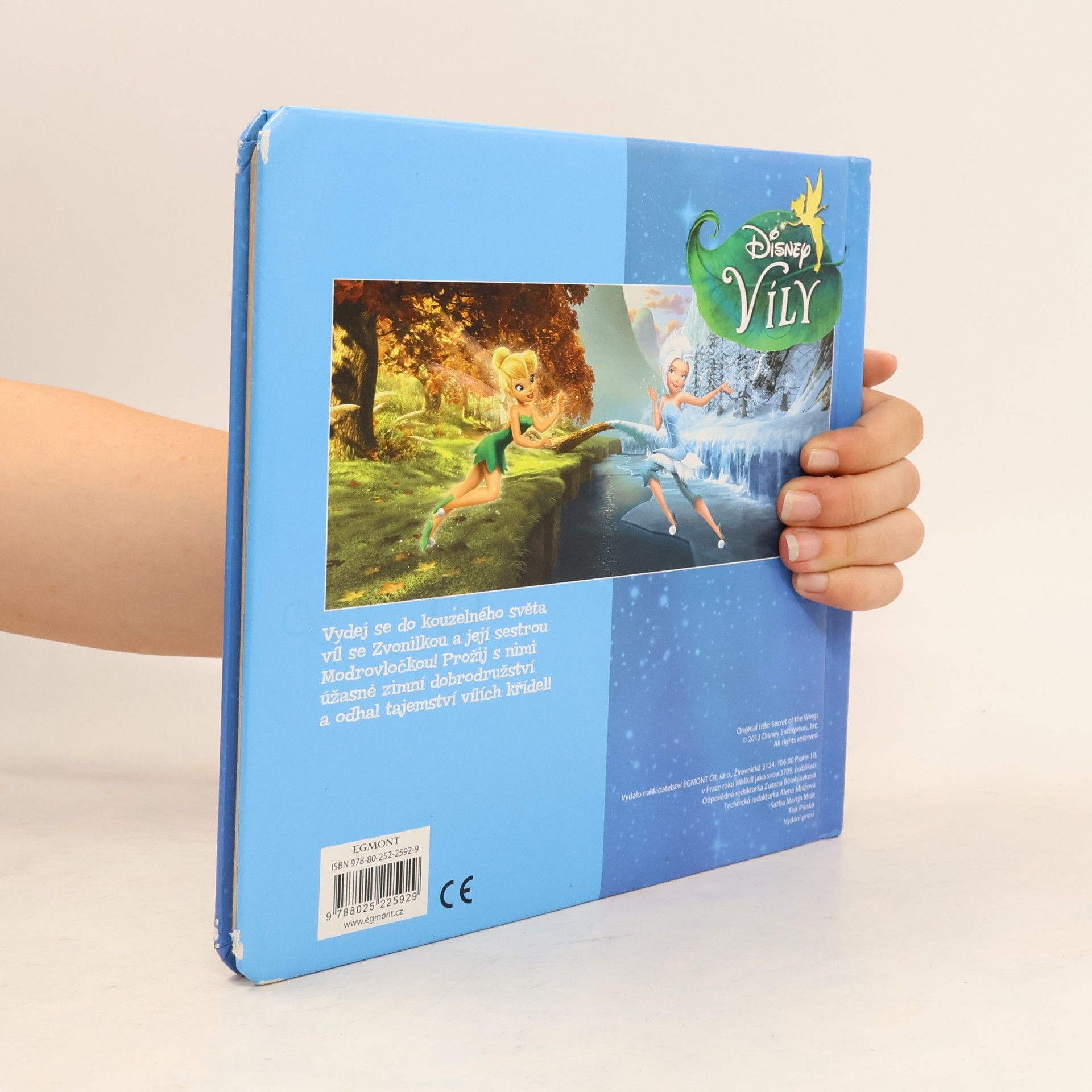 Autorenkollektiv Zvonilka a tajemství křídel