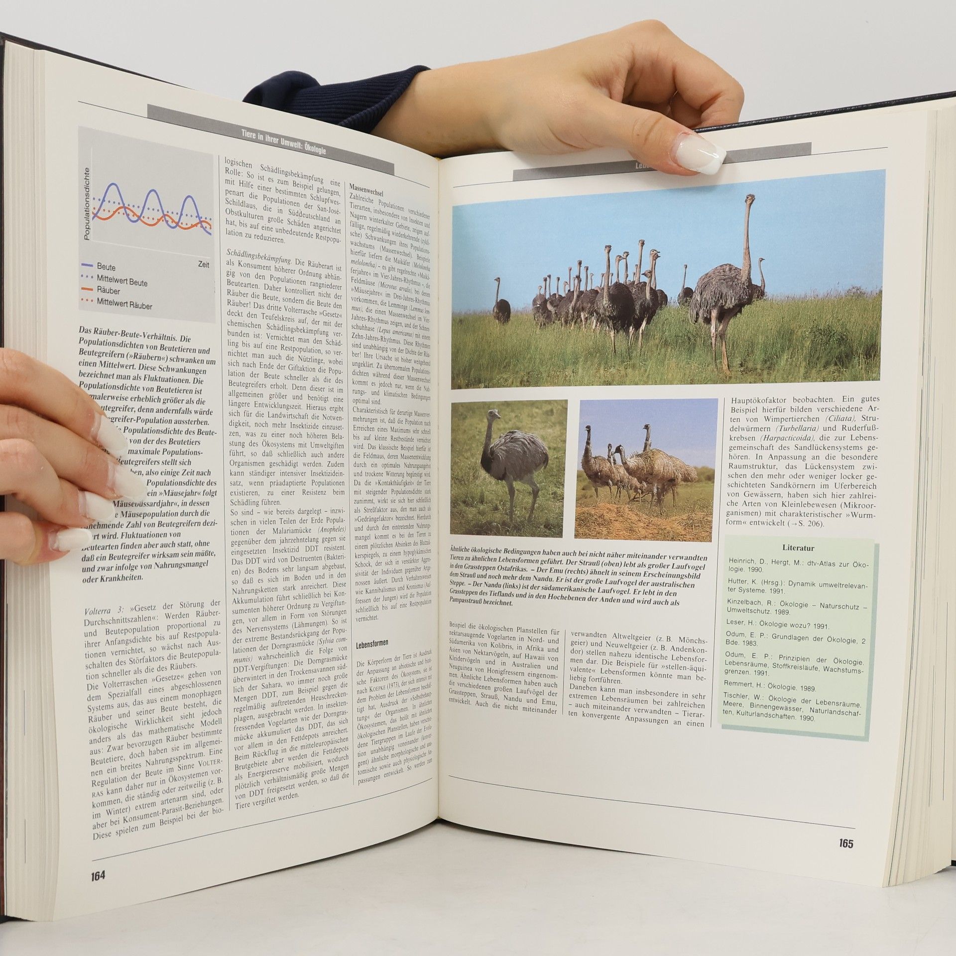 Rudolf Altevogt Die Welt der Kunst