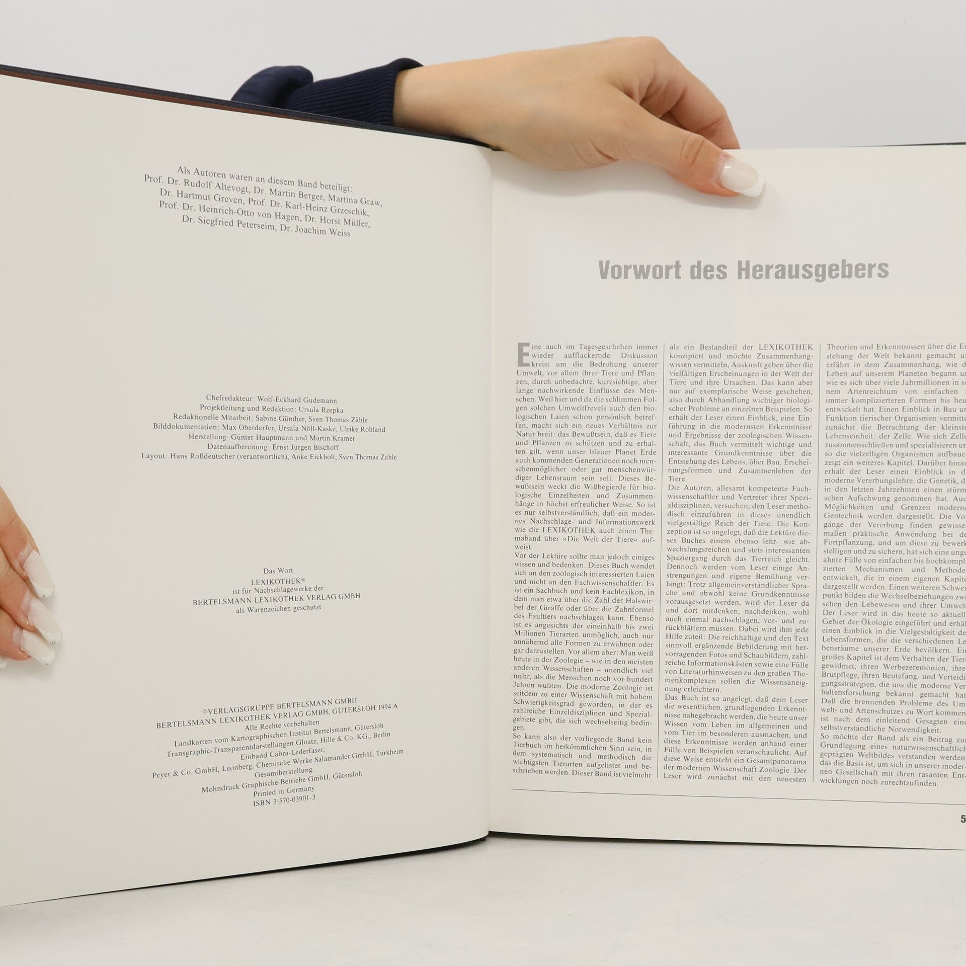 Rudolf Altevogt Die Welt der Kunst