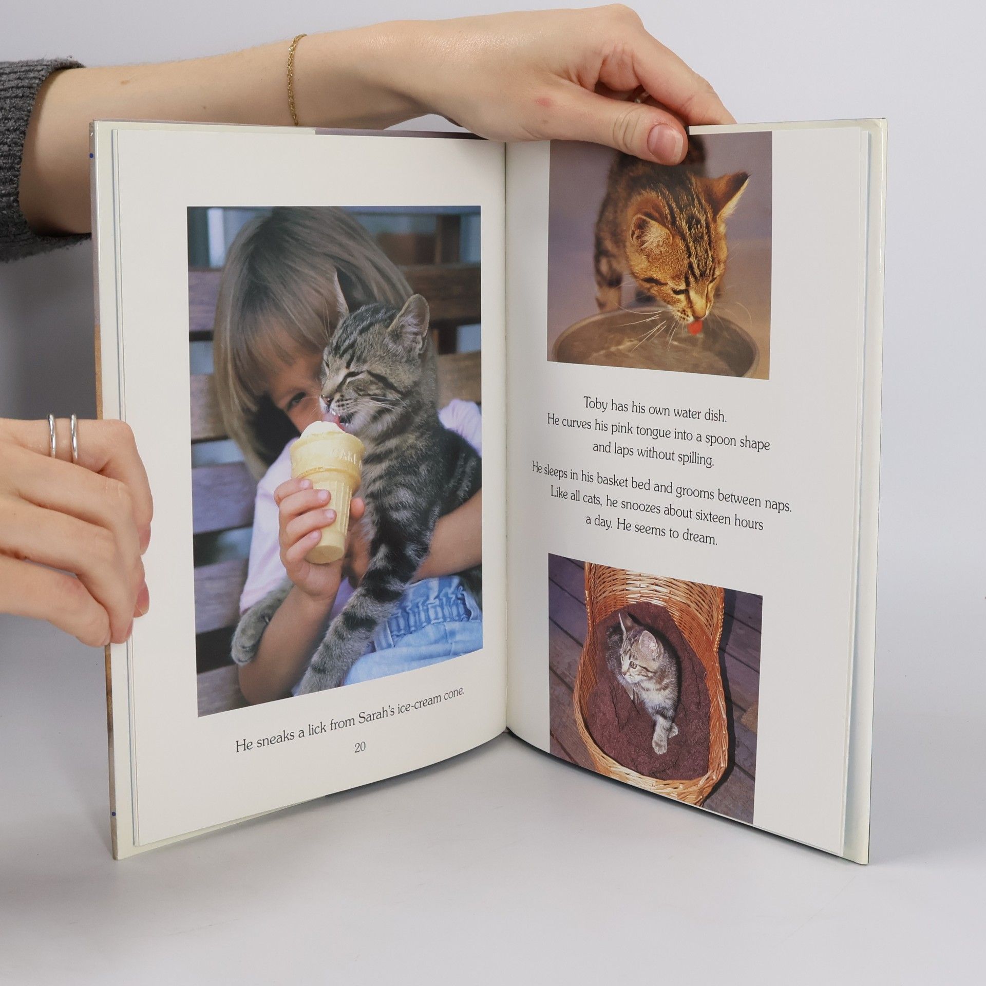 Colleen Stanley Bare Toby the Tabby Kitten