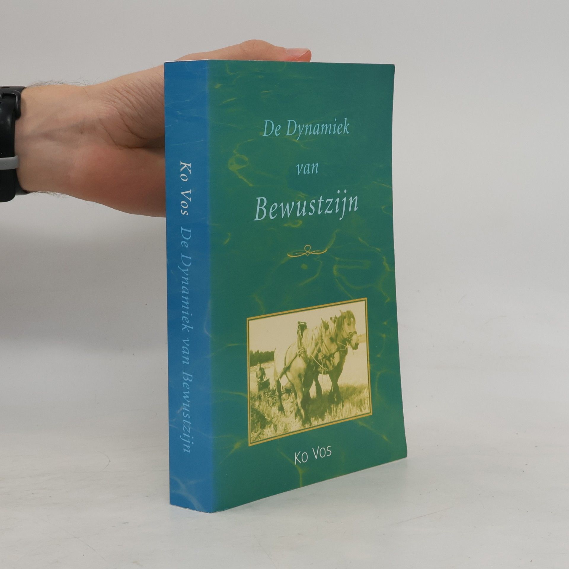 Johannes Jacobus Voskuil De dynamiek van bewustzijn