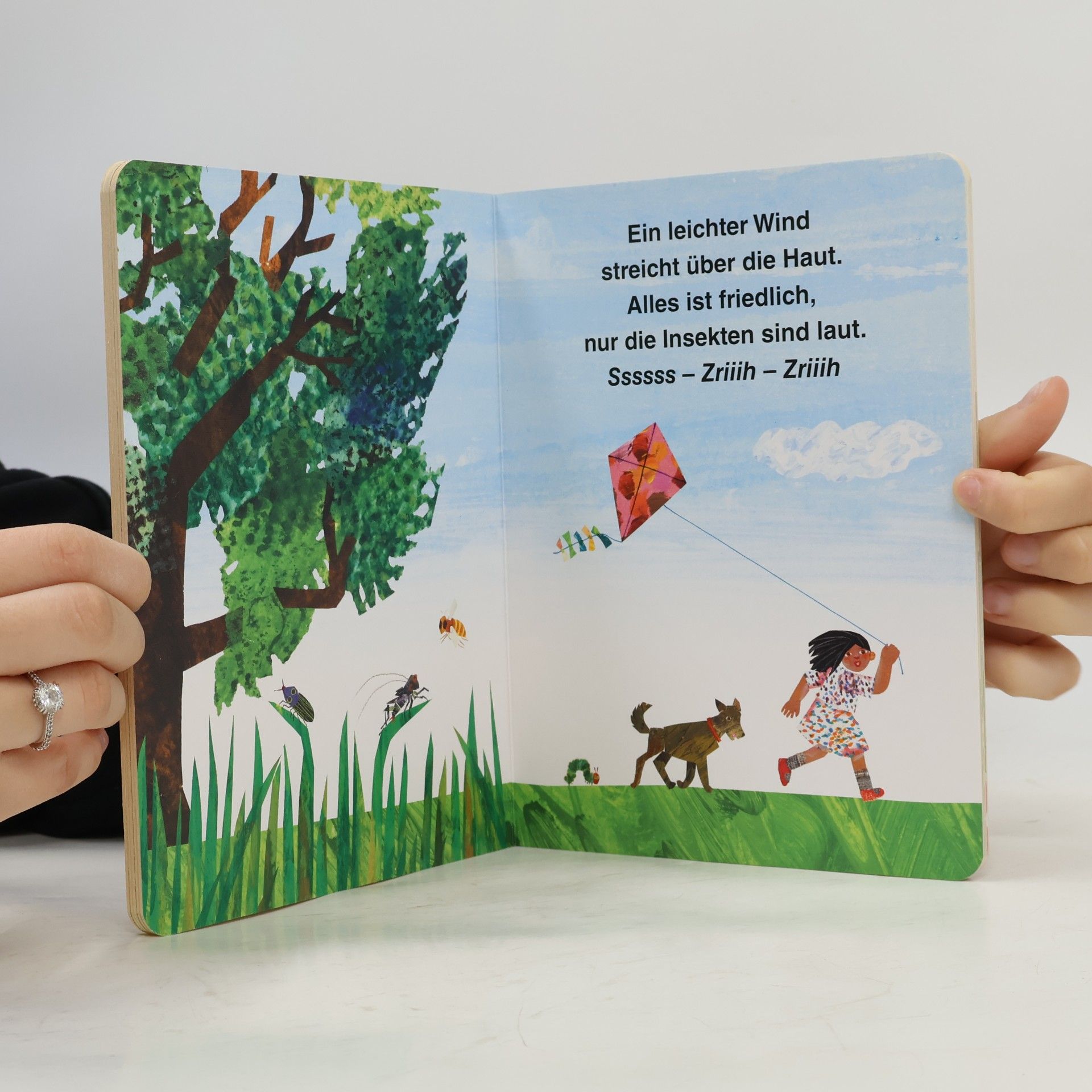 Eric Carle Die kleine Raupe Nimmersatt - Sommer