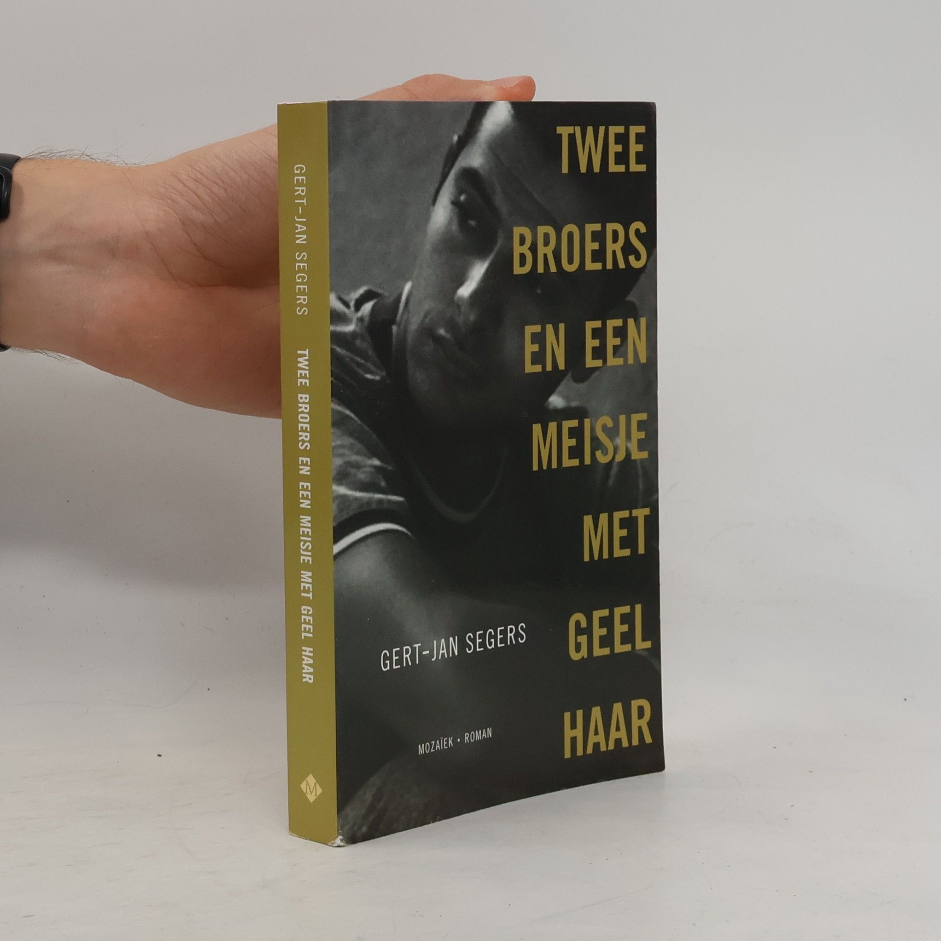 Gert-Jan Segers Twee broers en een meisje met geel haar
