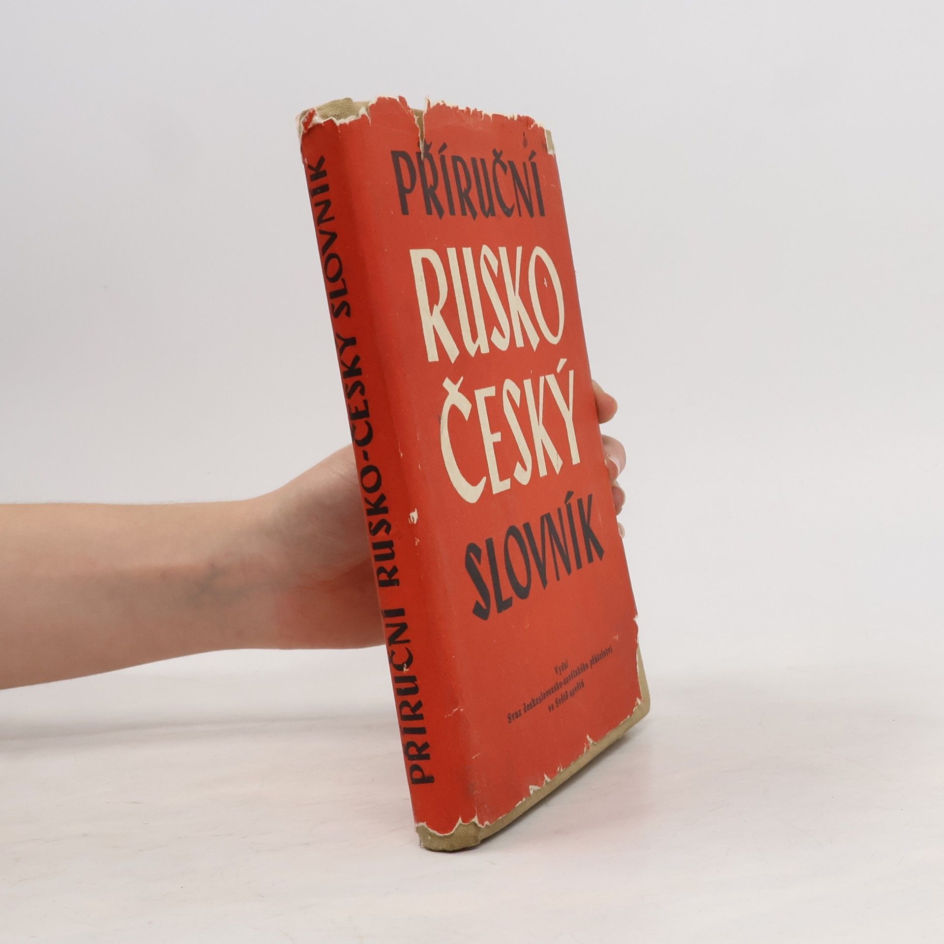 kolektiv Příruční rusko-český slovník