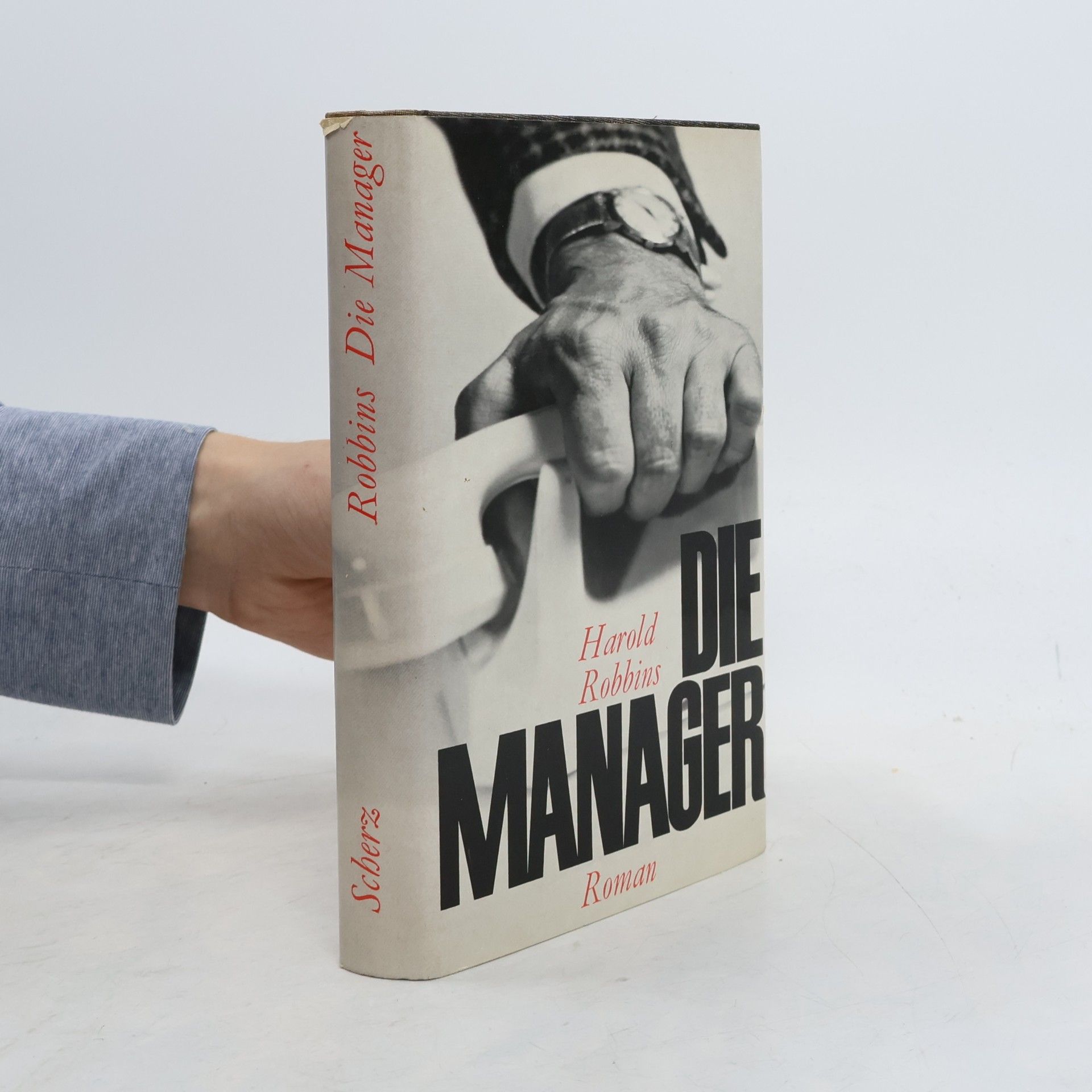 Harold Robbins Die Manager
