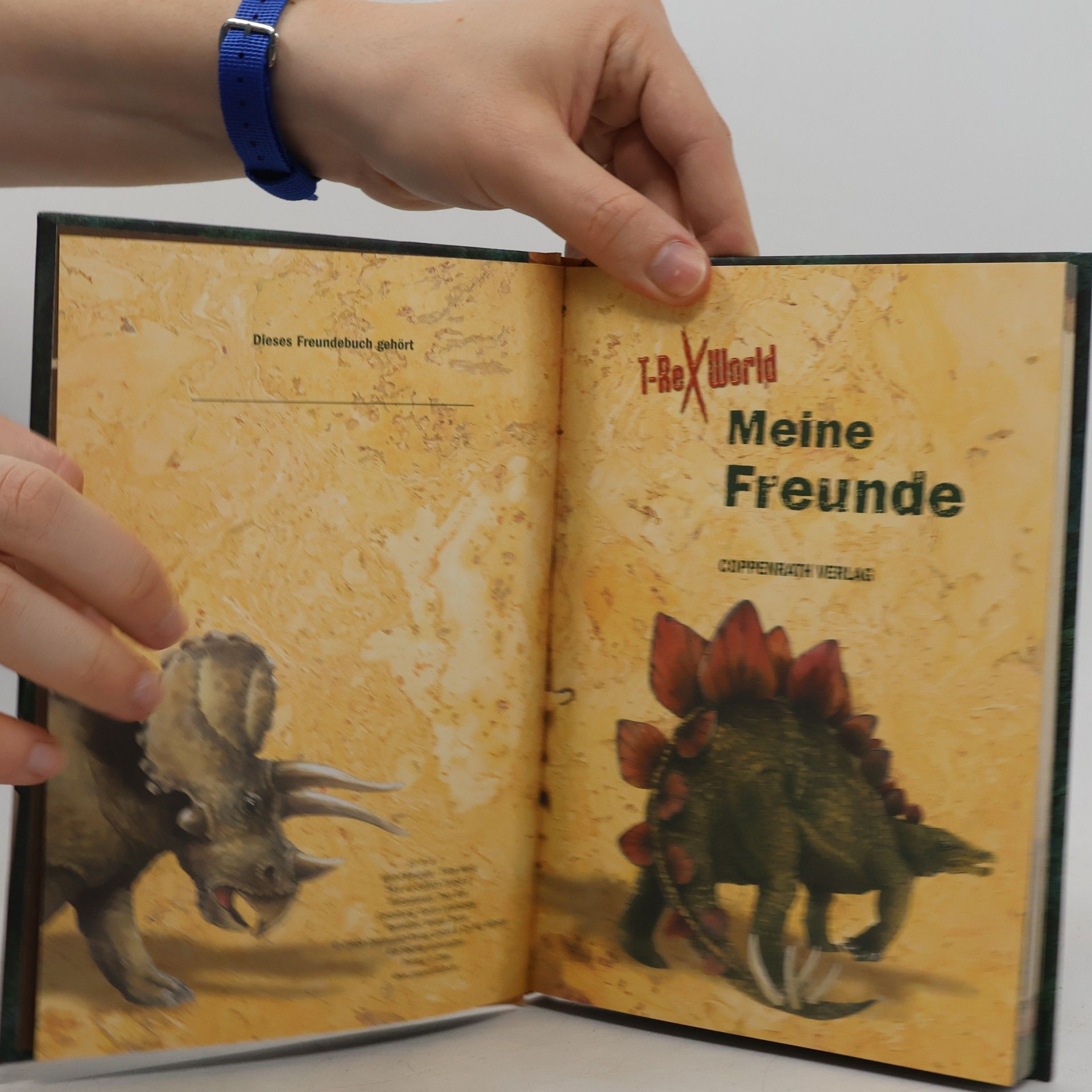 Autorenkollektiv Meine Freunde