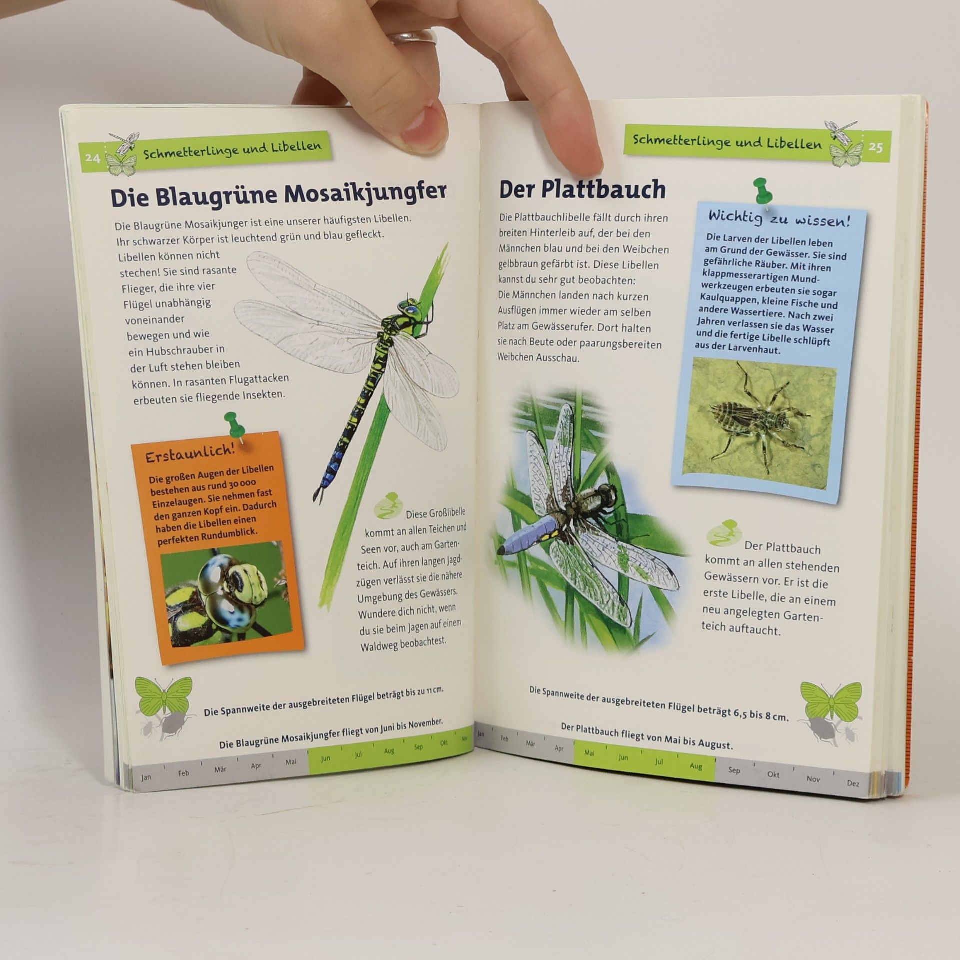 Bärbel Oftring Was krabbelt denn da?