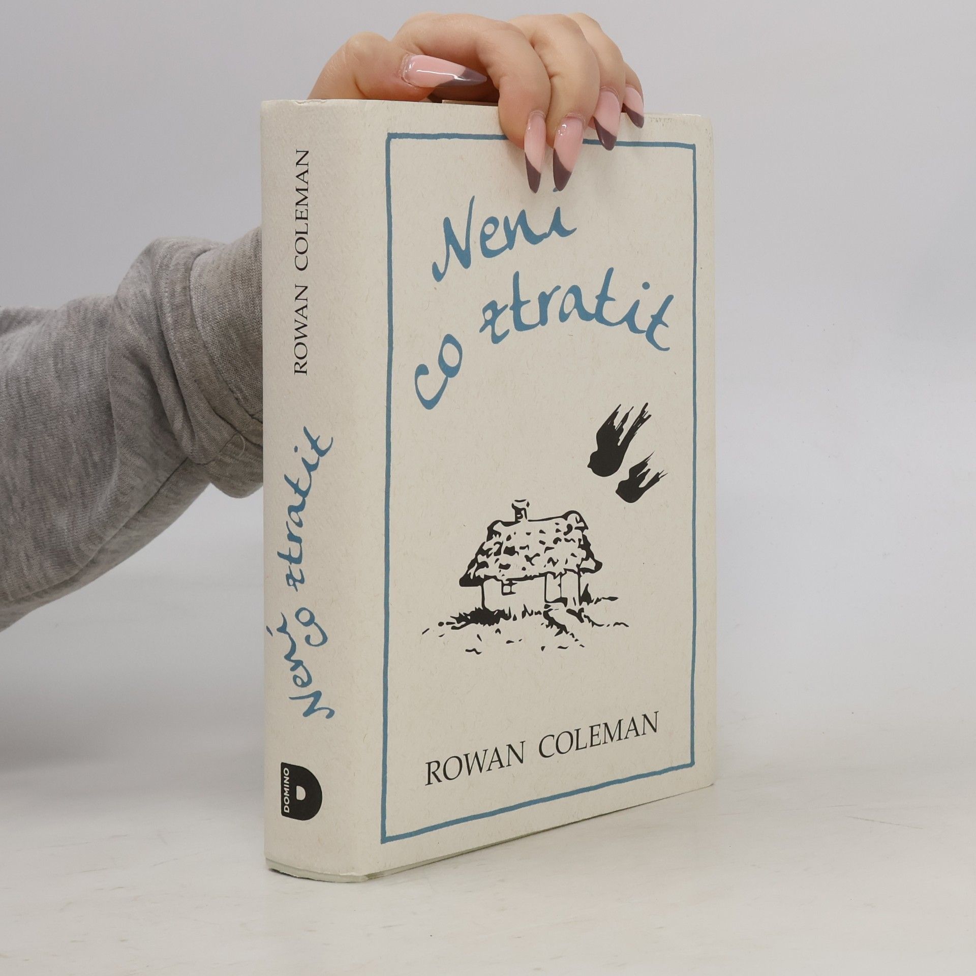 Rowan Coleman Není co ztratit