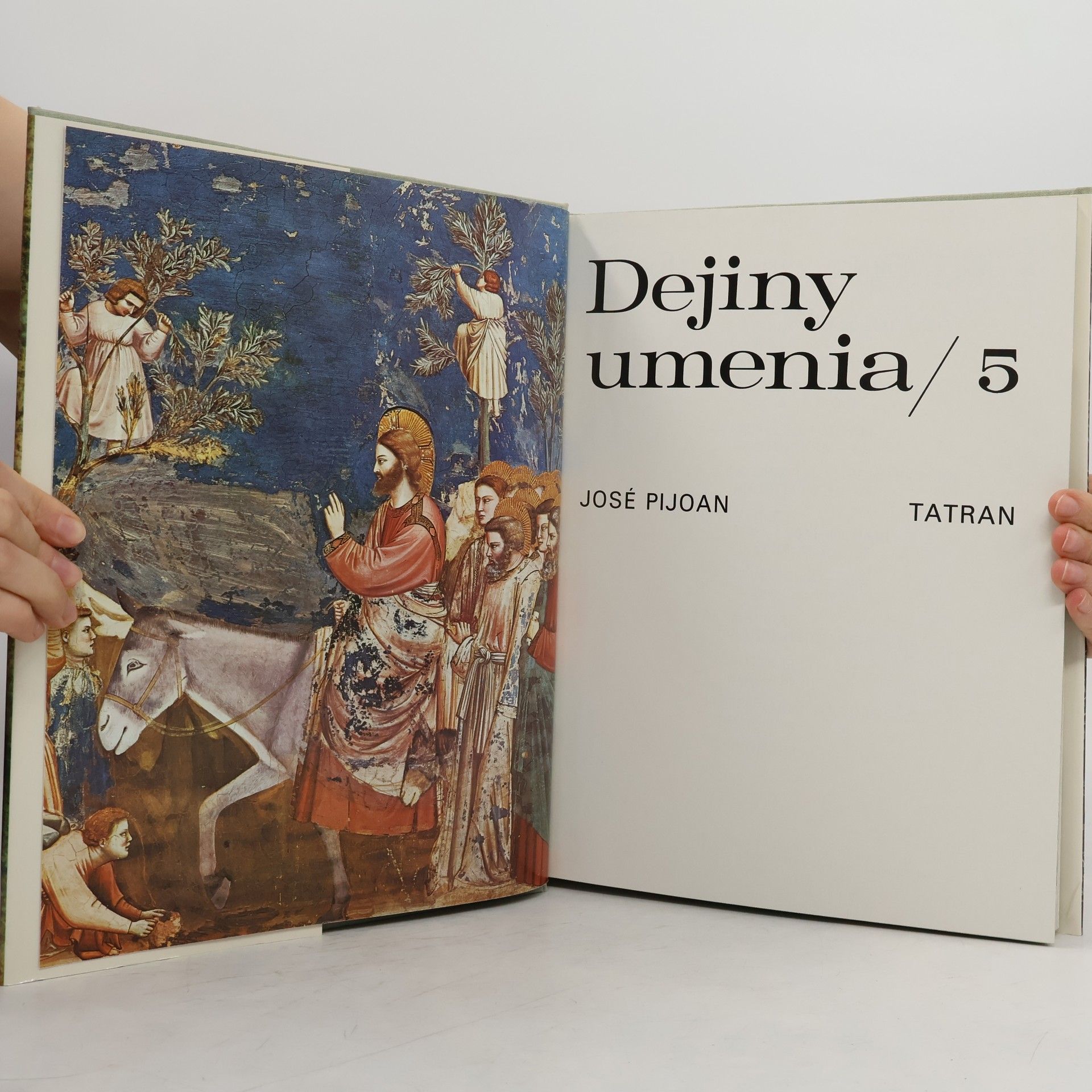 Joseph Pijoan Dejiny umenia / 5