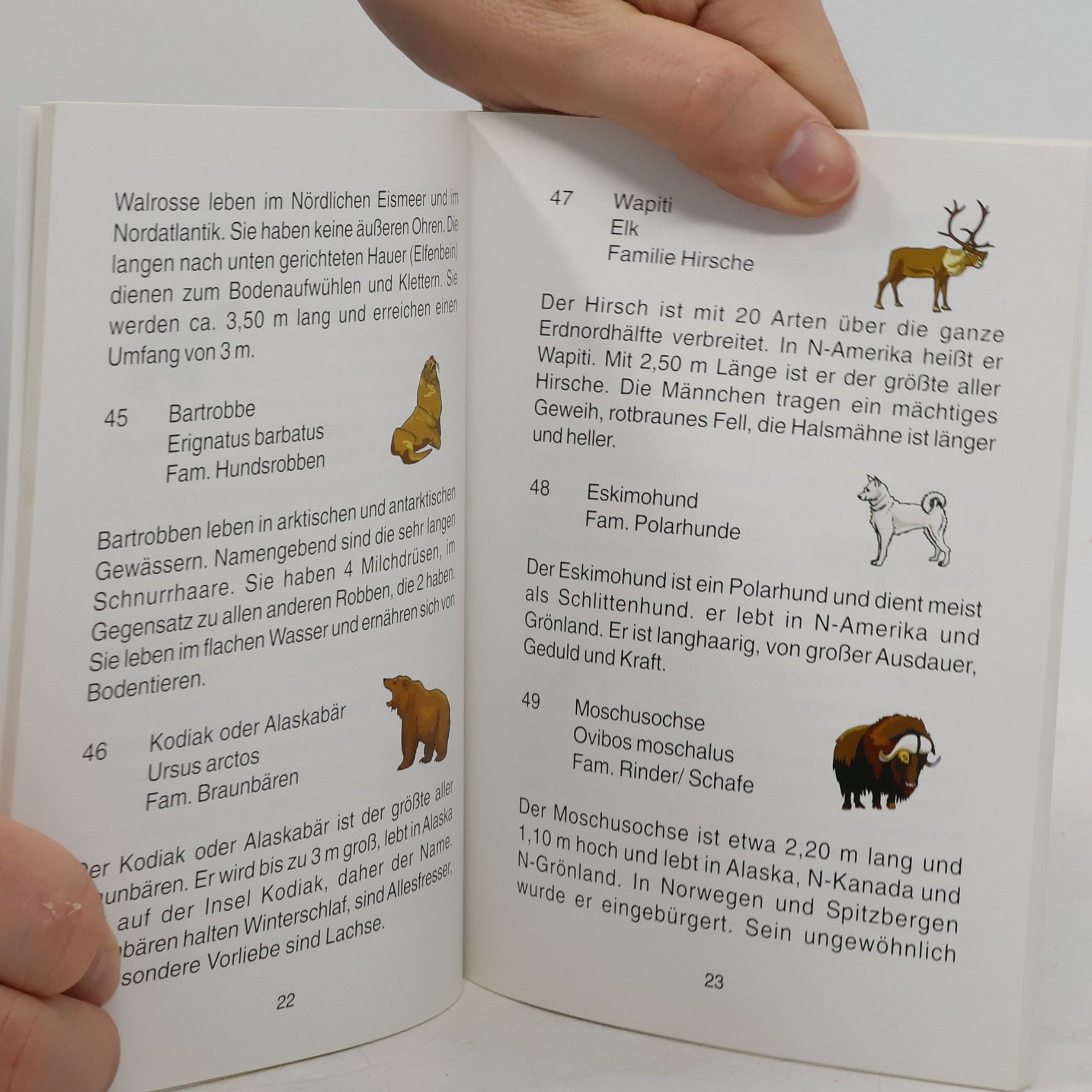 kolektiv Tierlexikon zum Kinderglobus