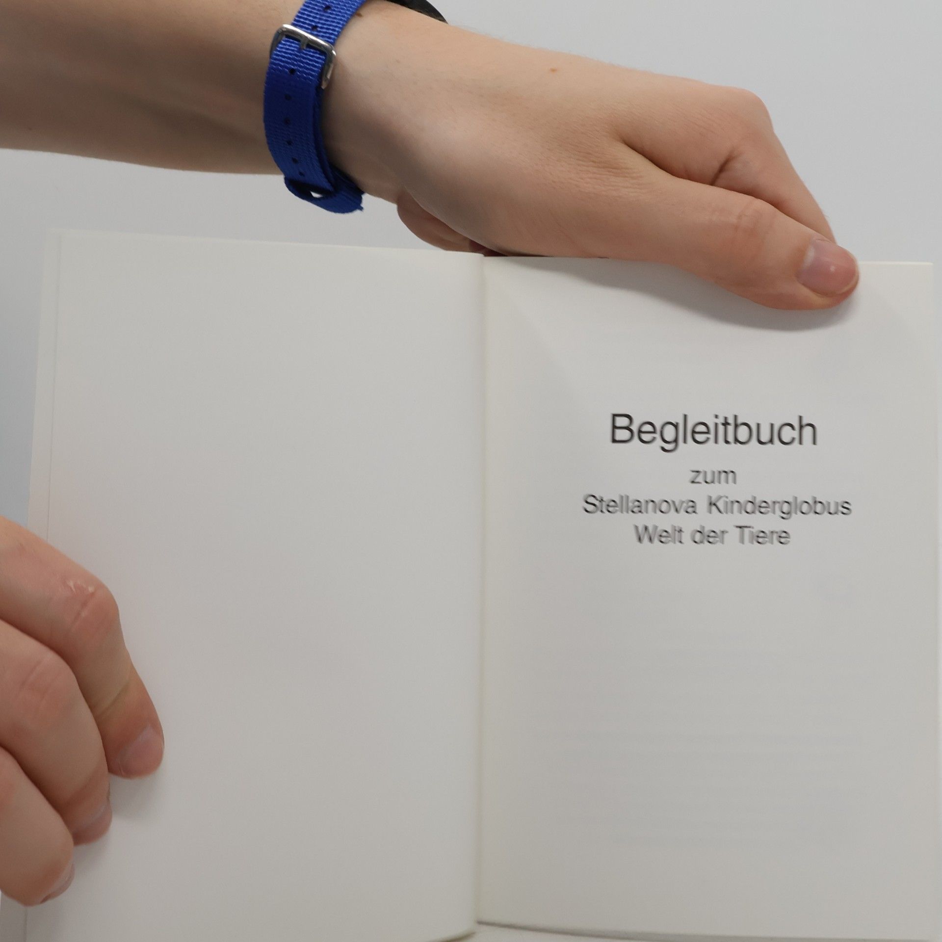 kolektiv Tierlexikon zum Kinderglobus
