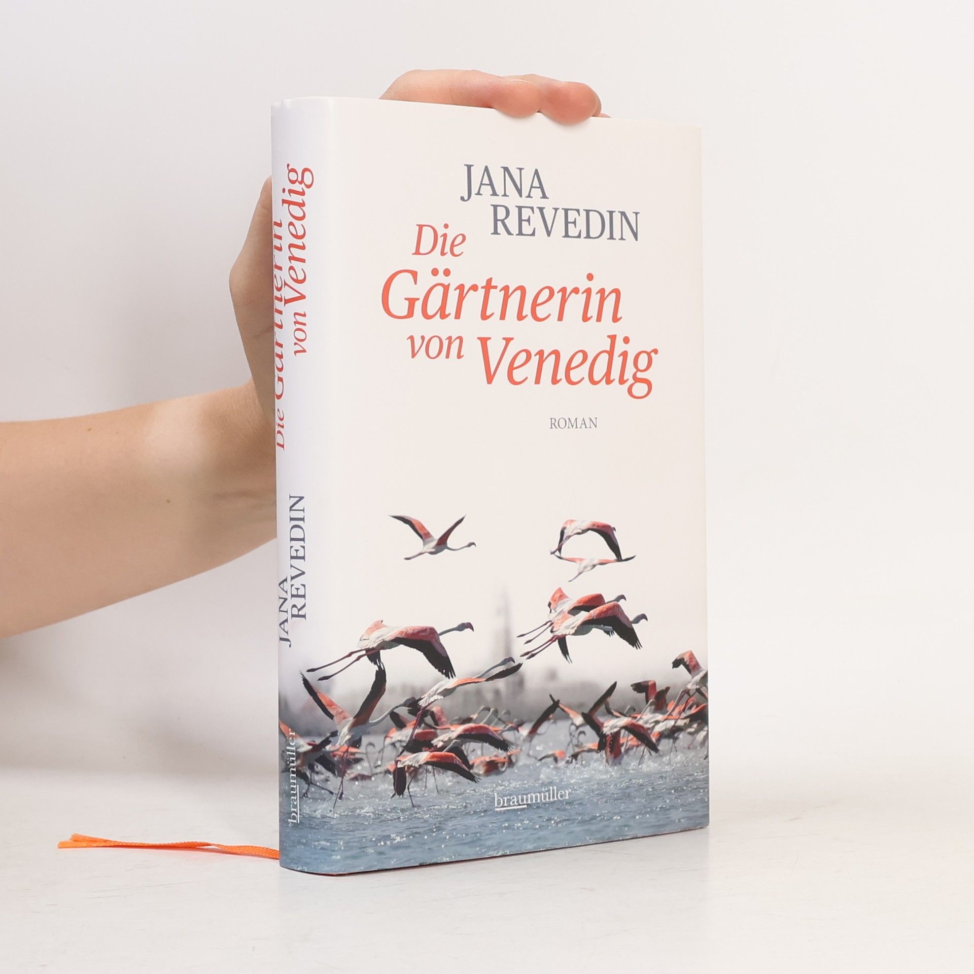 Jana Revedin Die Gärtnerin von Venedig