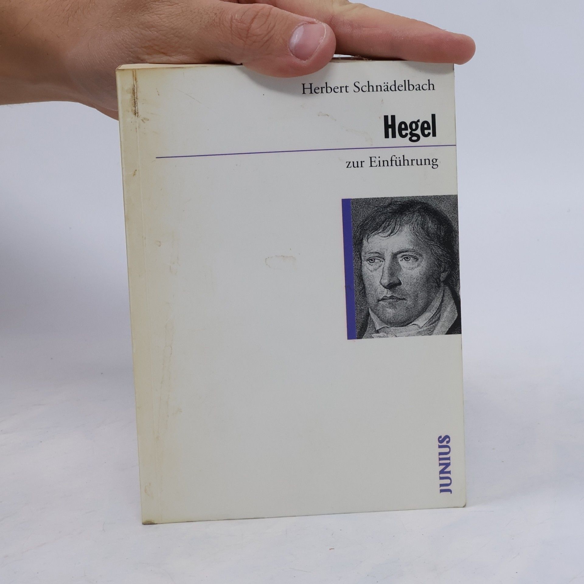 Herbert Schnädelbach Hegel zur Einführung