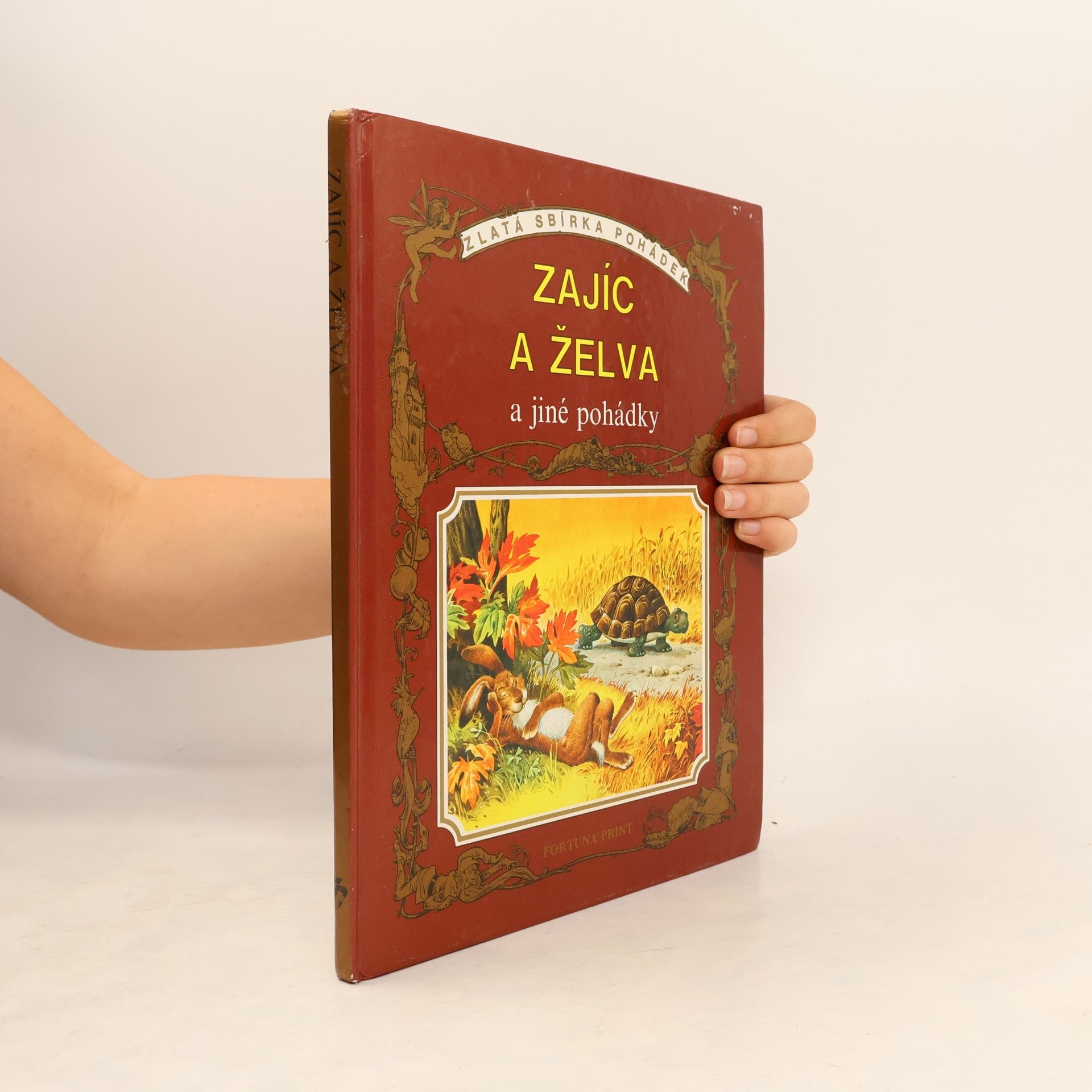 Collectif d'auteurs Zajíc a želva a jiné pohádky