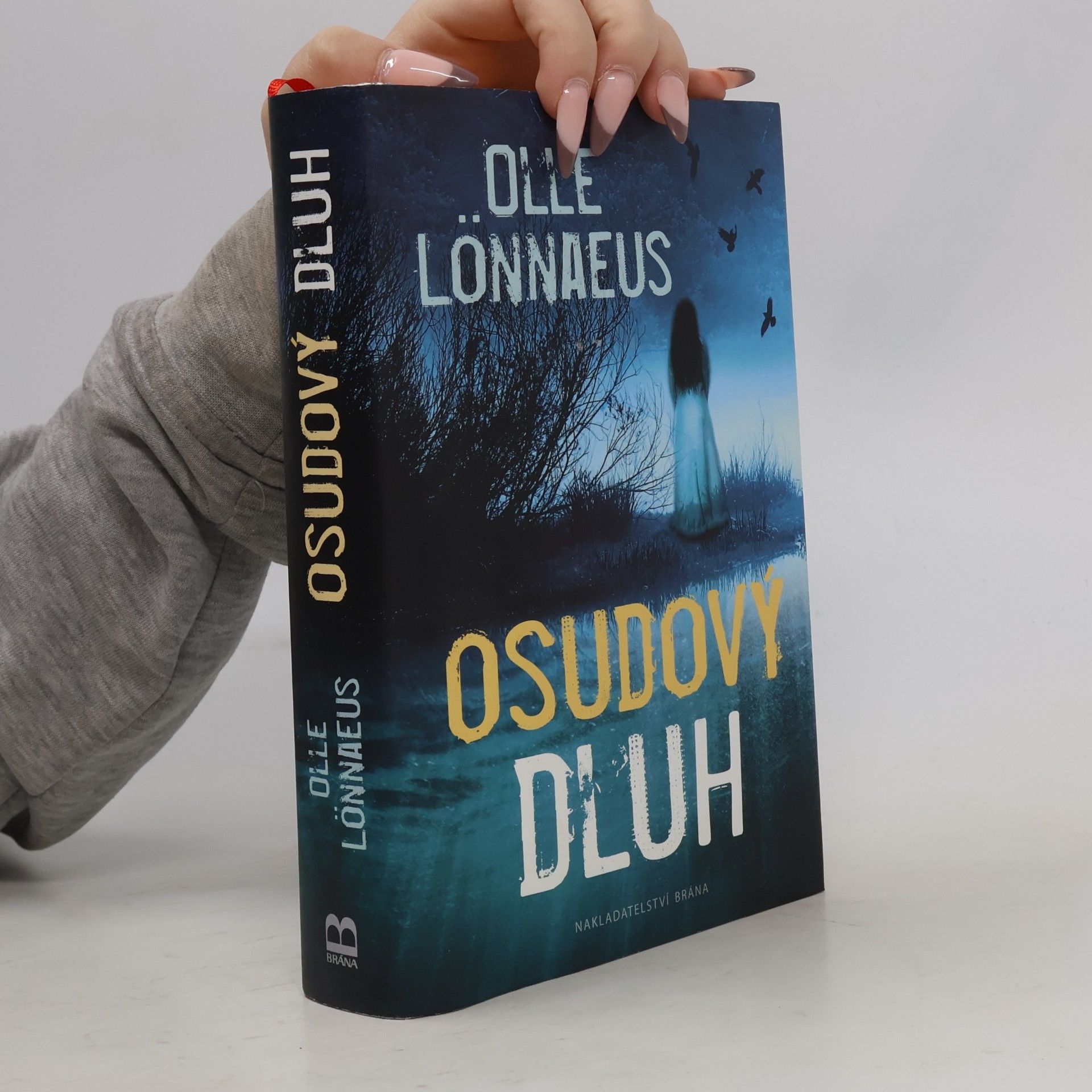 Petra Hesová Osudový dluh