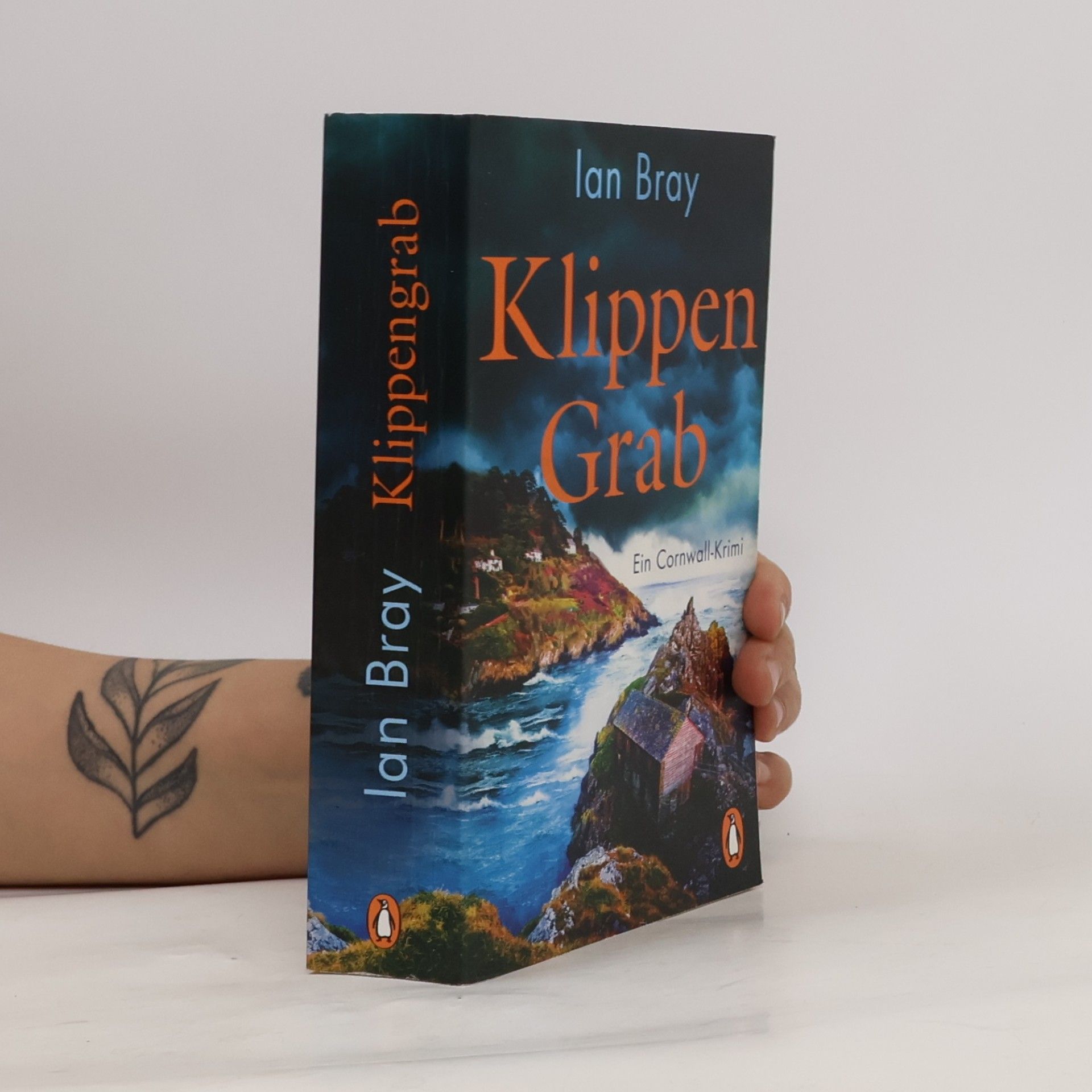 Ian Bray Klippengrab