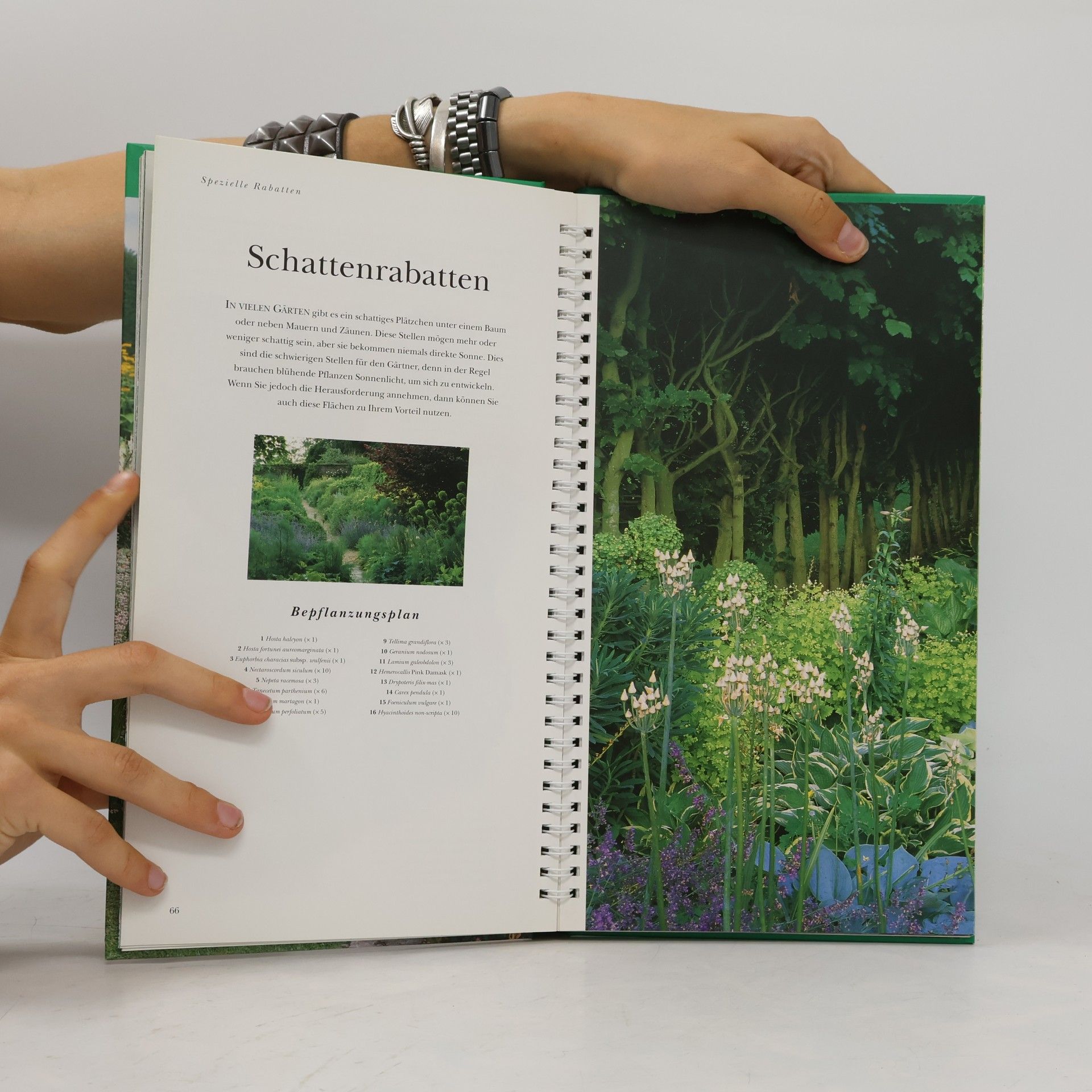 Richard Bird Mein wunderbarer Garten. Beete und Rabatten.