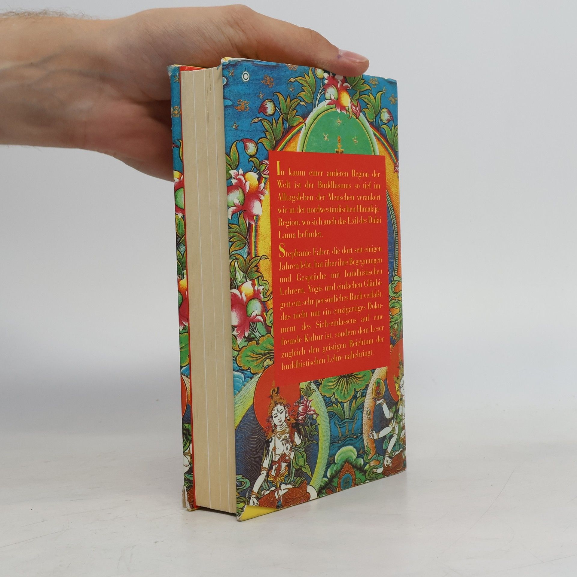 Stephanie Faber Tibetisches Tagebuch