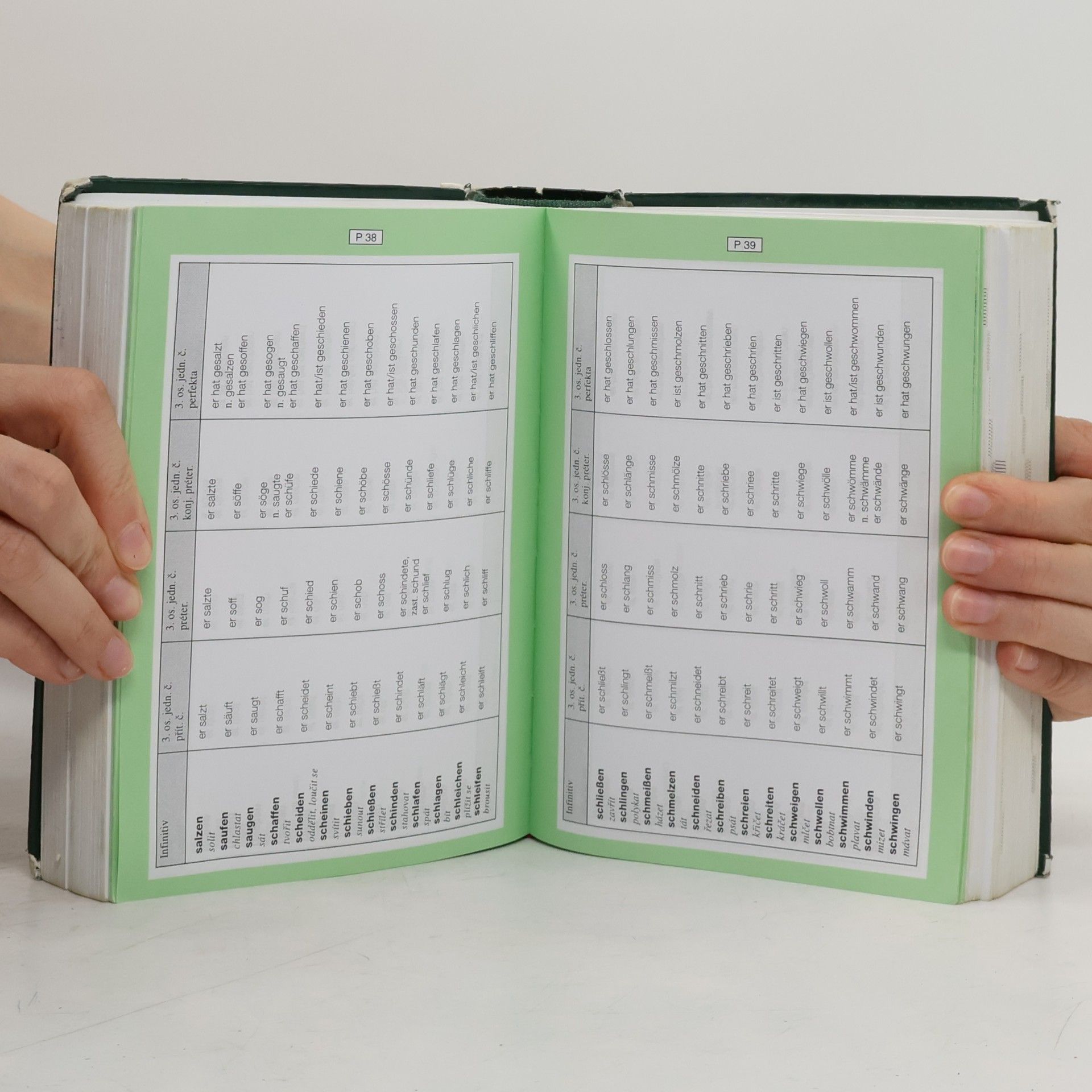 Autorenkollektiv Německo-český, česko-německý studijní slovník