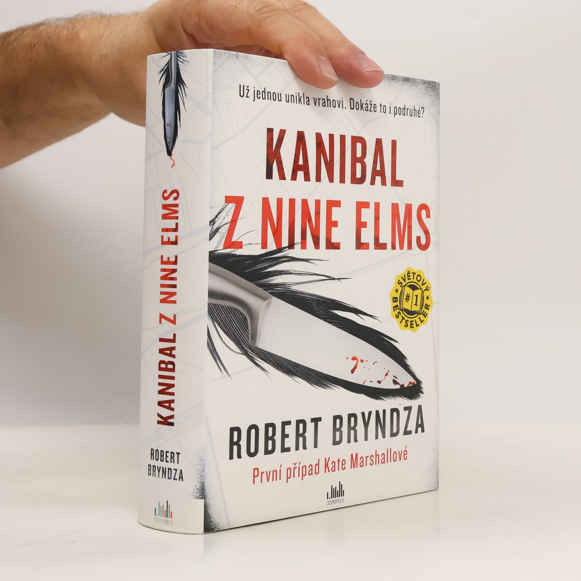 Robert Bryndza Kanibal z Nine Elms