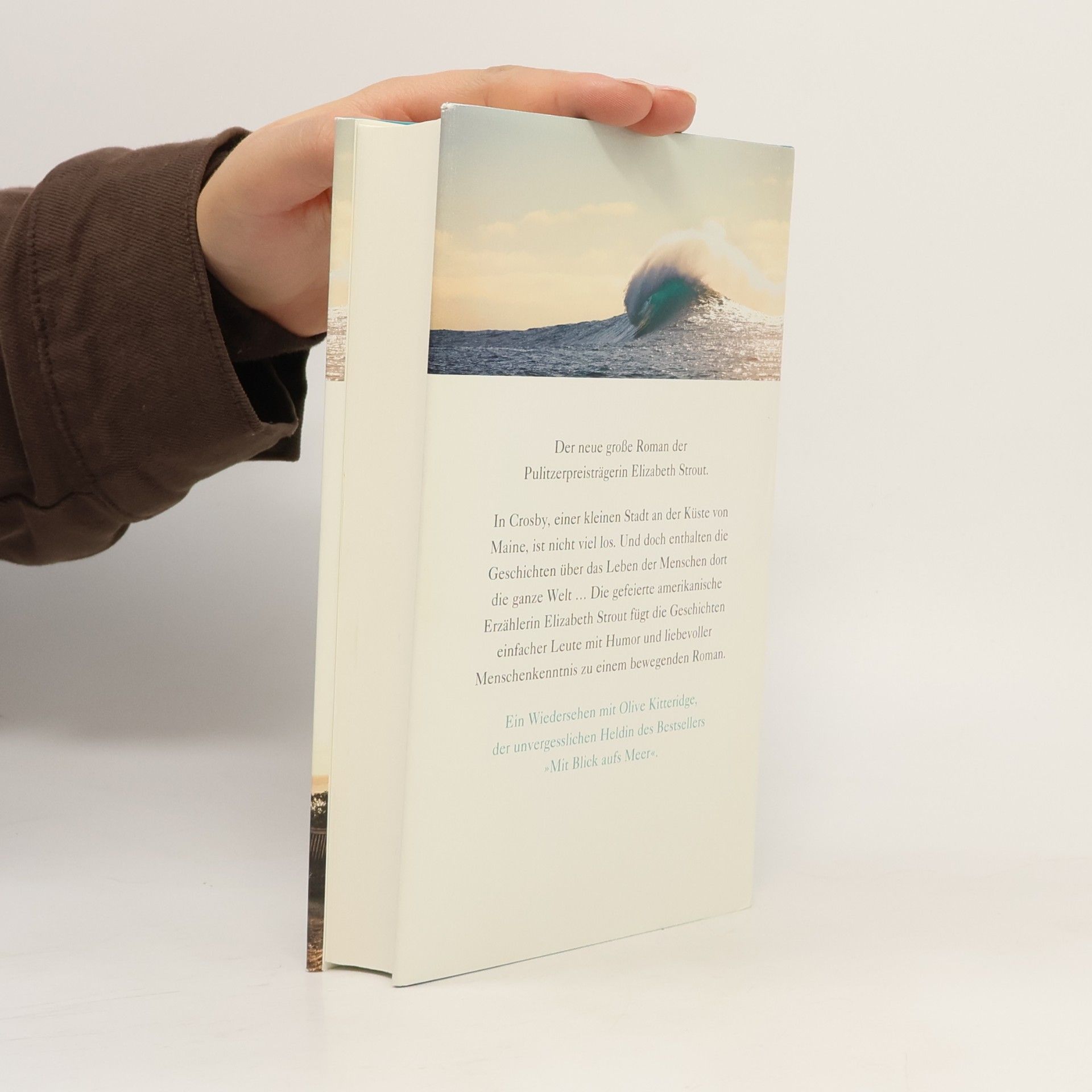 Elizabeth Strout Die langen Abende