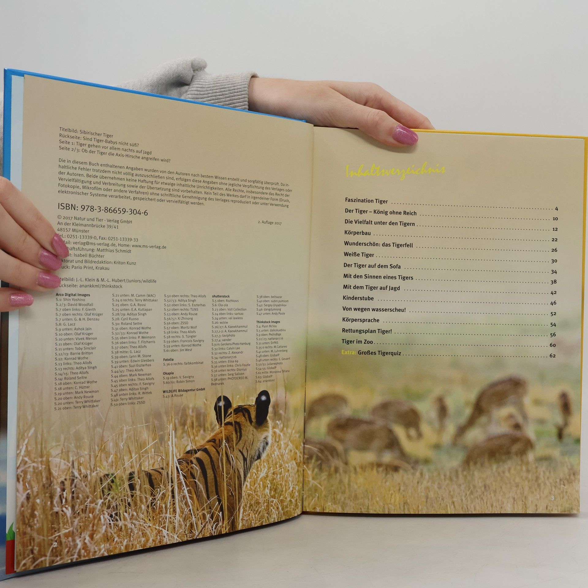 Thomas Wilms Entdecke - Die Reihe mit der Eule - 34: Entdecke die Tiger