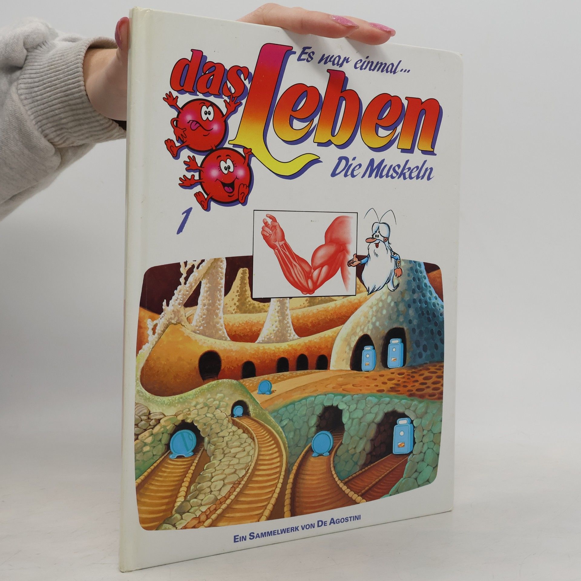 Autorenkollektiv Es war einmal... das Leben 1. Die Muskeln
