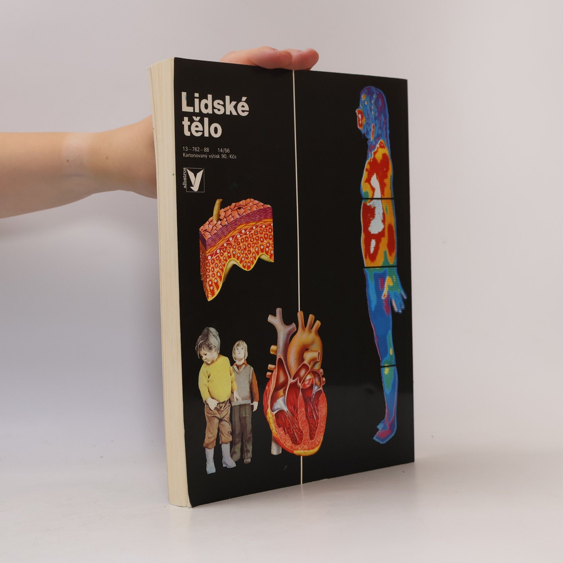 Collectif d'auteurs Lidské tělo