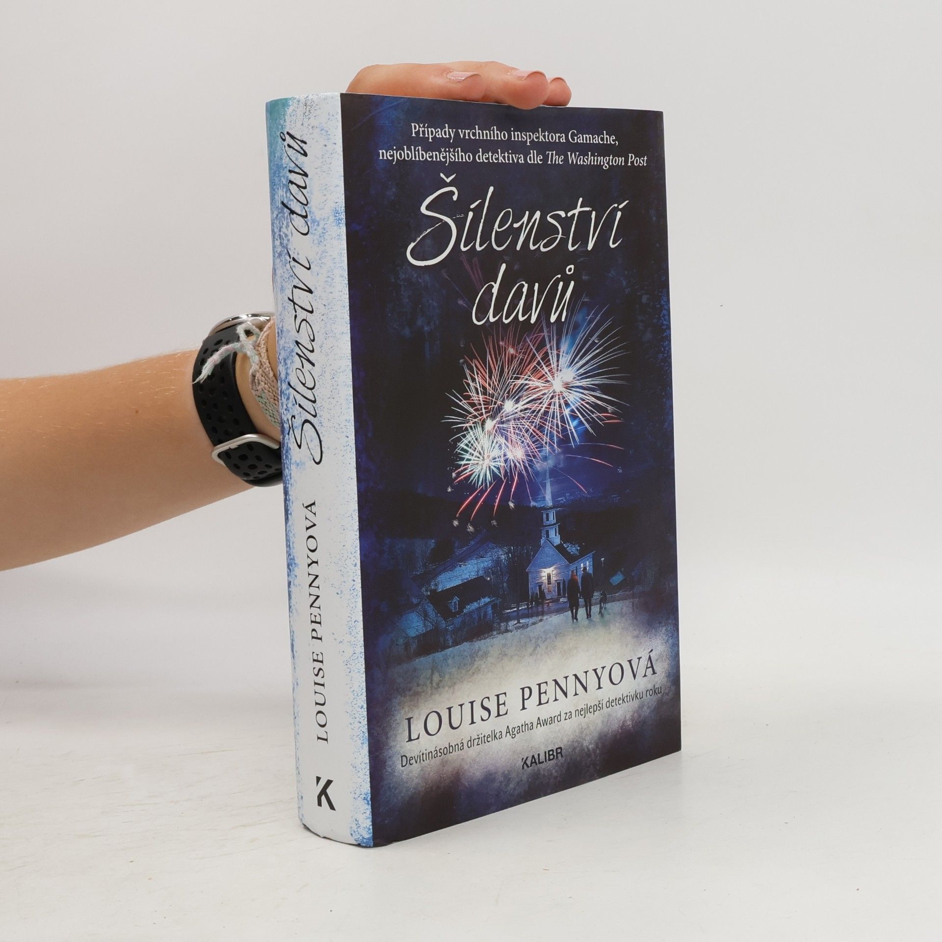 Louise Penny Šílenství davů