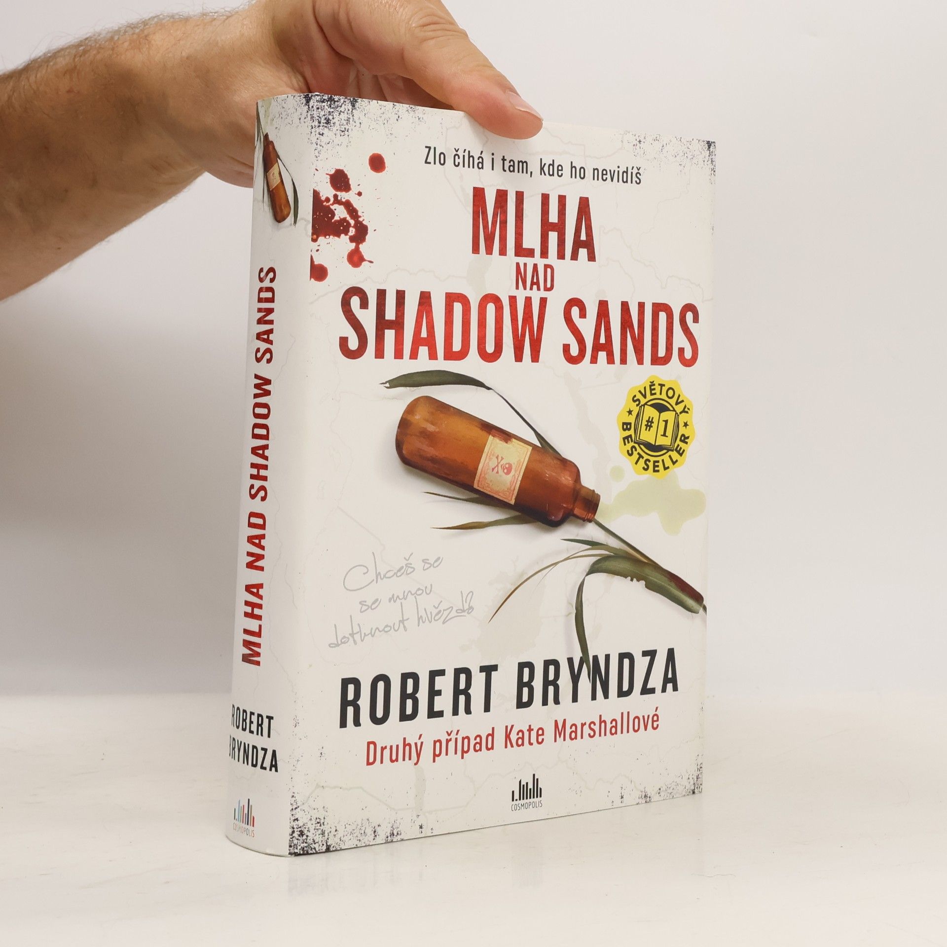 Robert Bryndza Mlha nad Shadow Sands