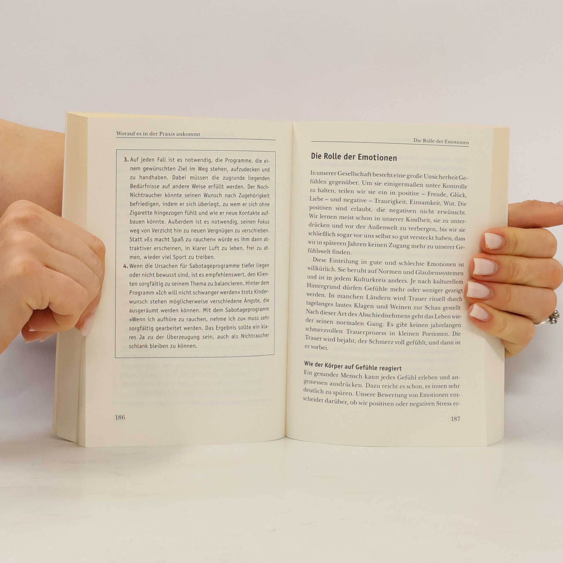 Isa Grüber Praxisbuch Kinesiologie