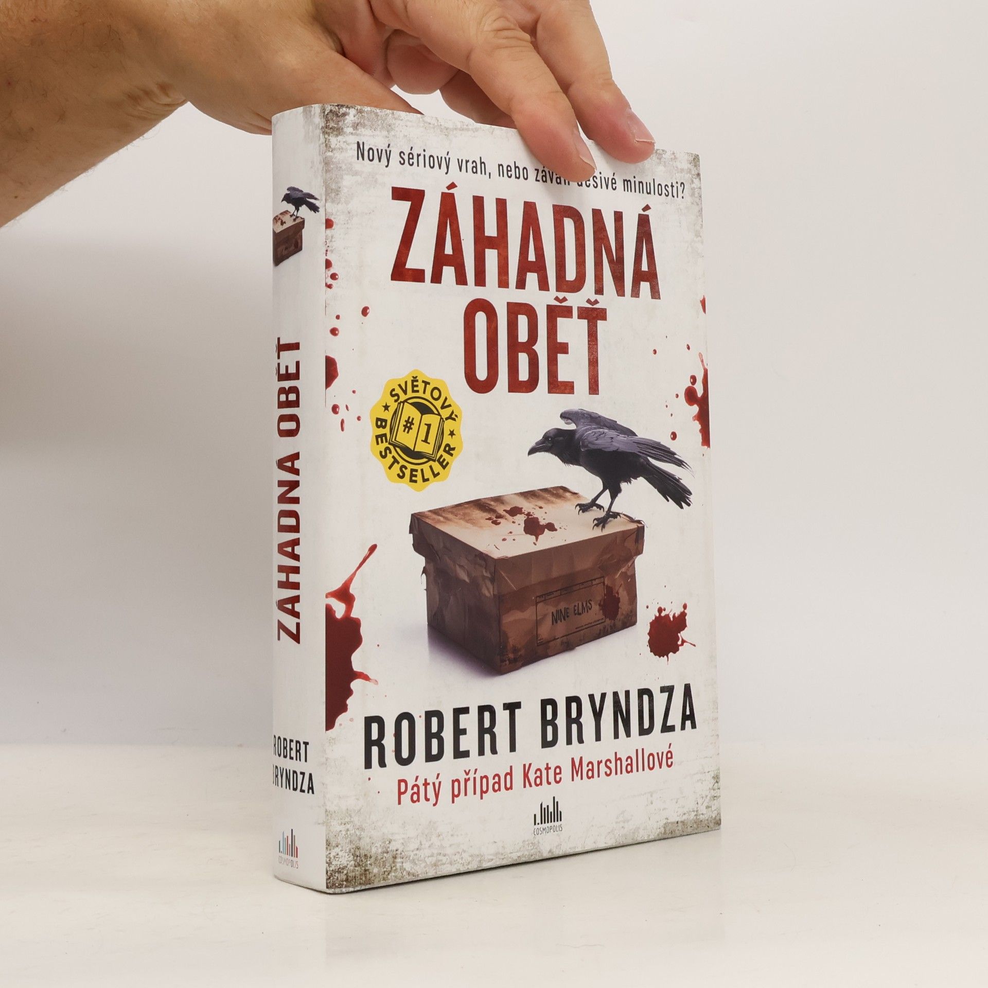 Robert Bryndza Záhadná oběť