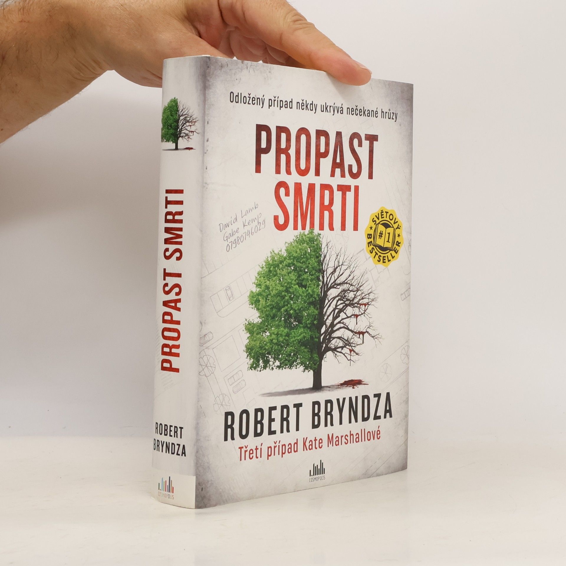 Robert Bryndza Propast smrti