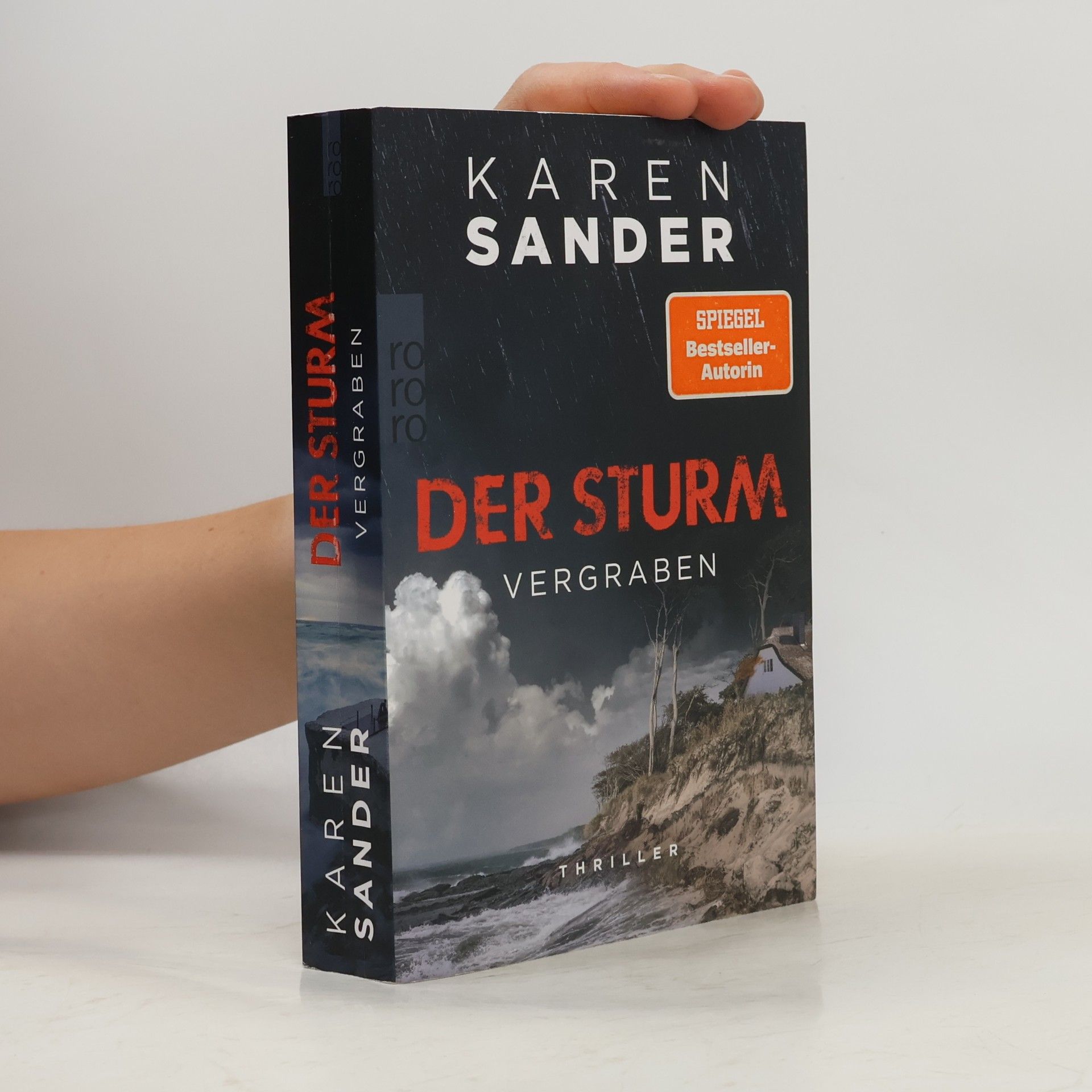 Sabine Martin Der Sturm. Vergraben