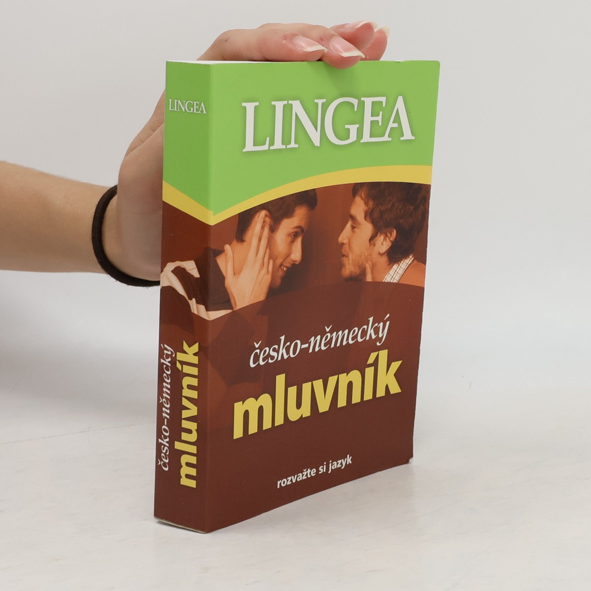 Autorenkollektiv Česko-německý mluvník
