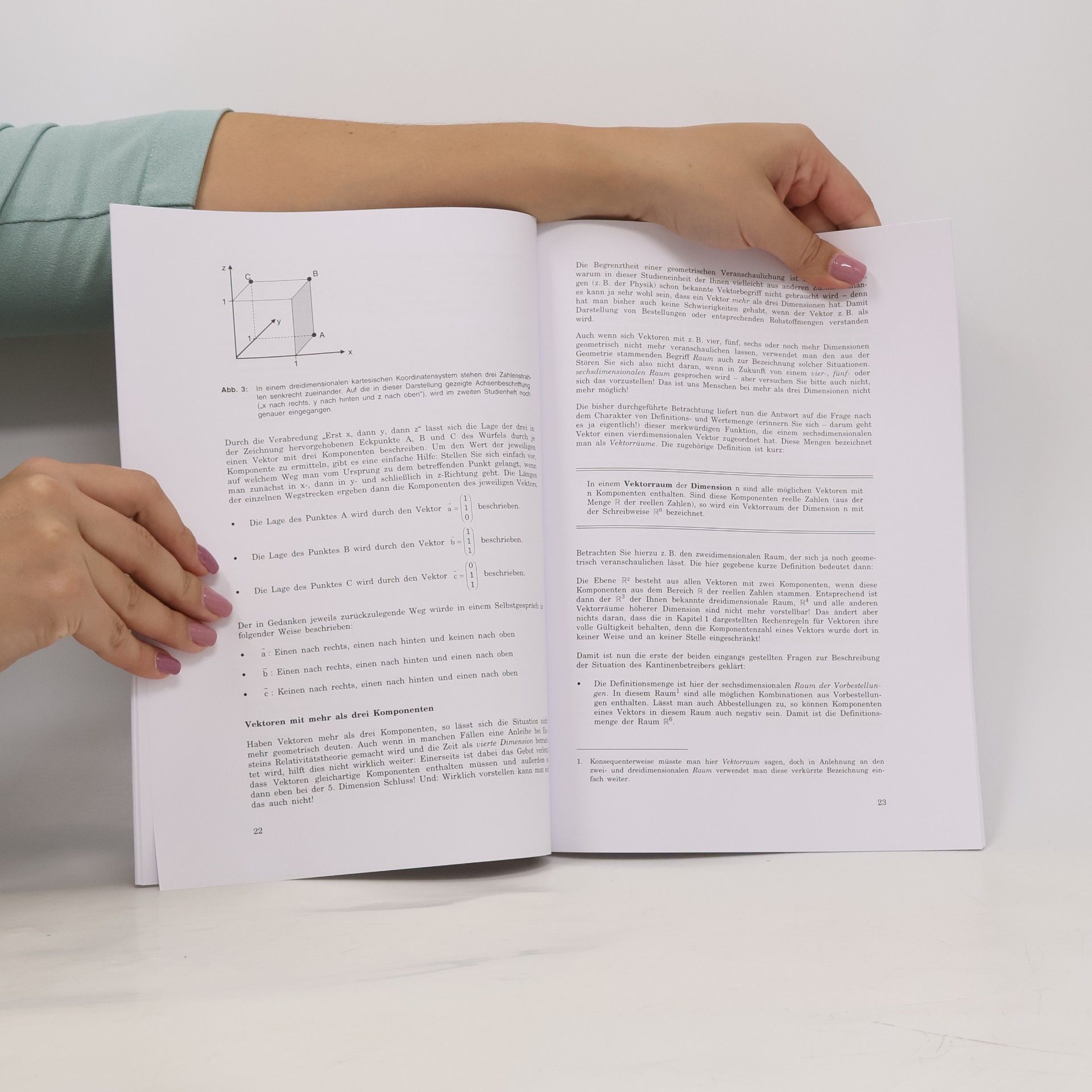 Autorenkollektiv Studienheft